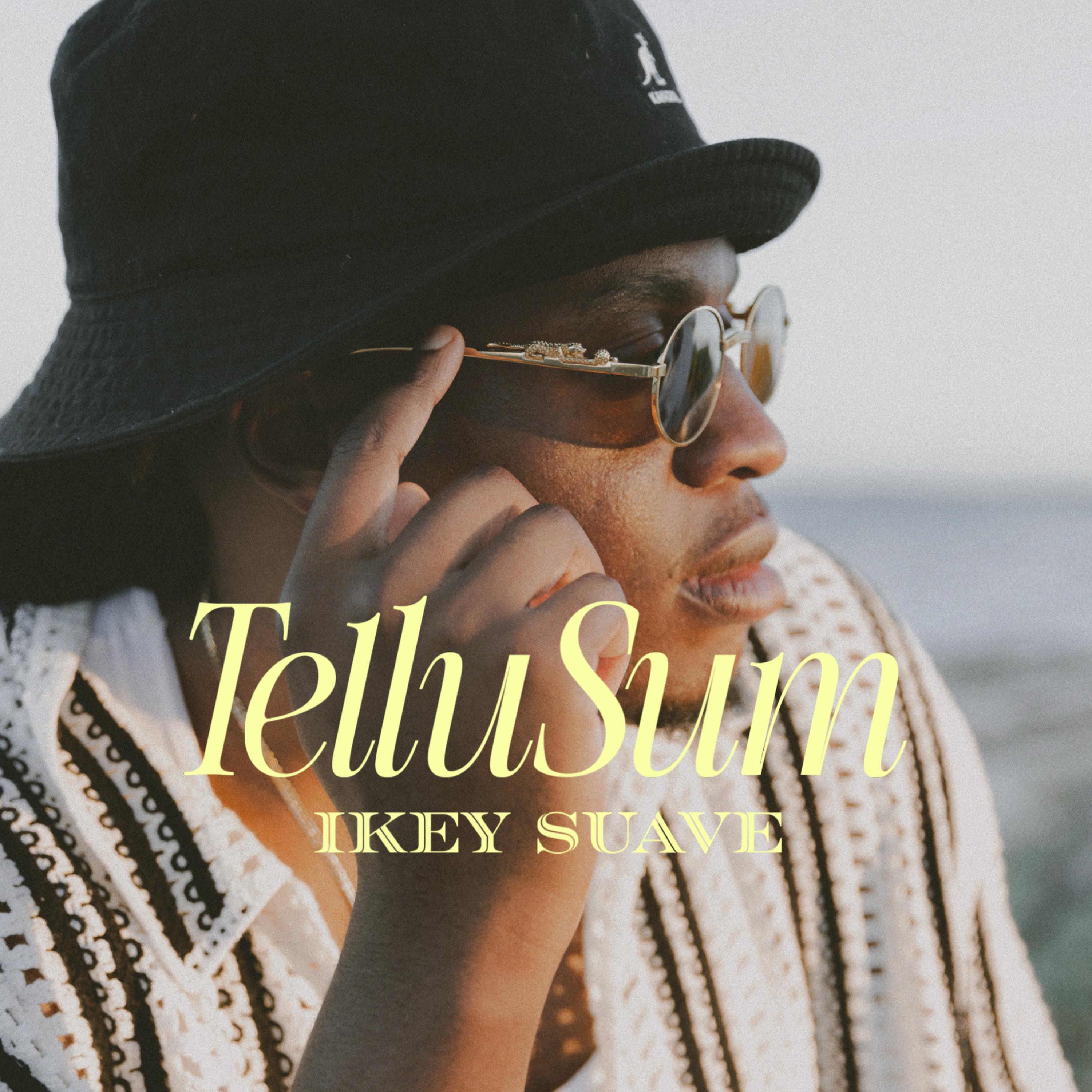 Tellusum artwork
