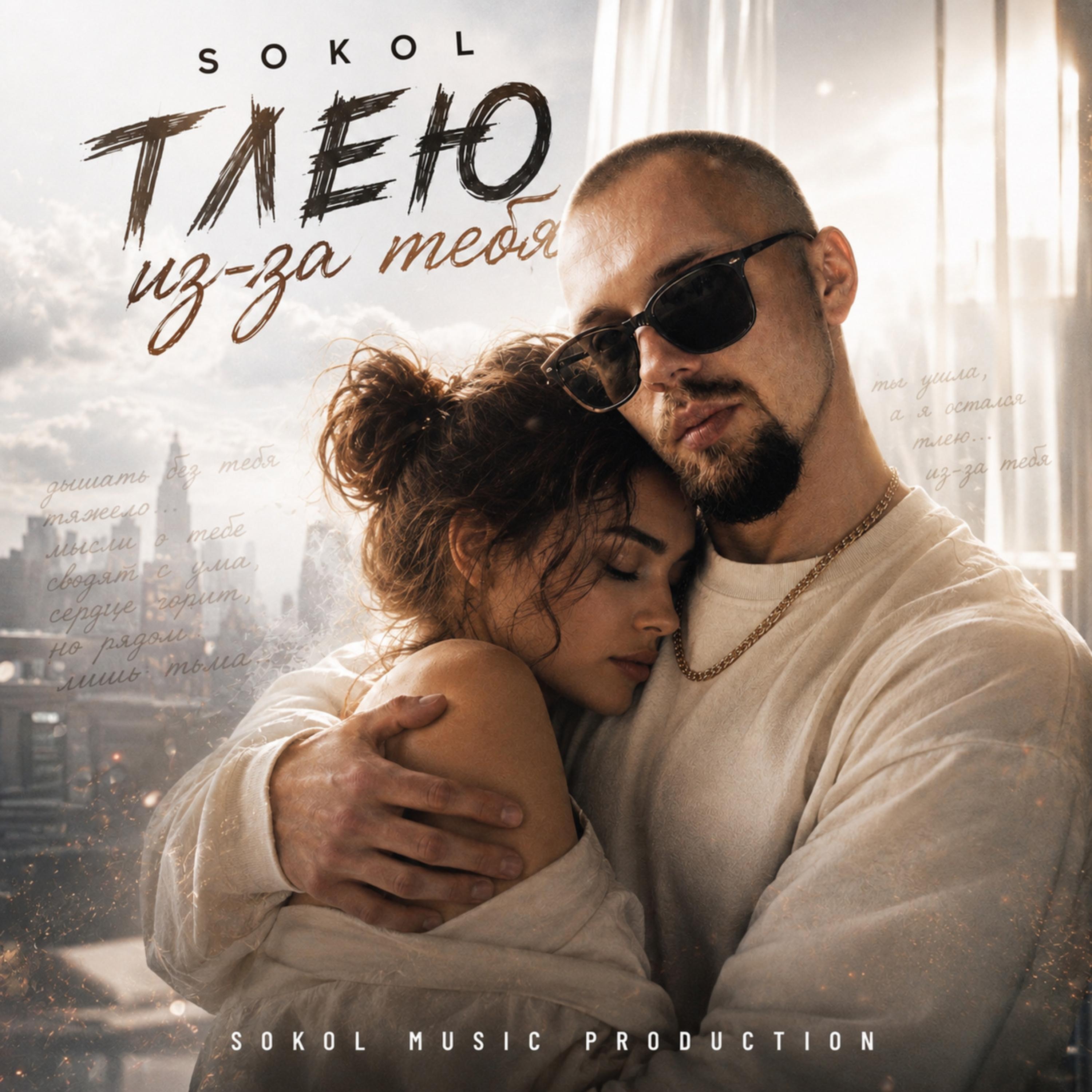 Тлею из-за тебя by Sokol cover art