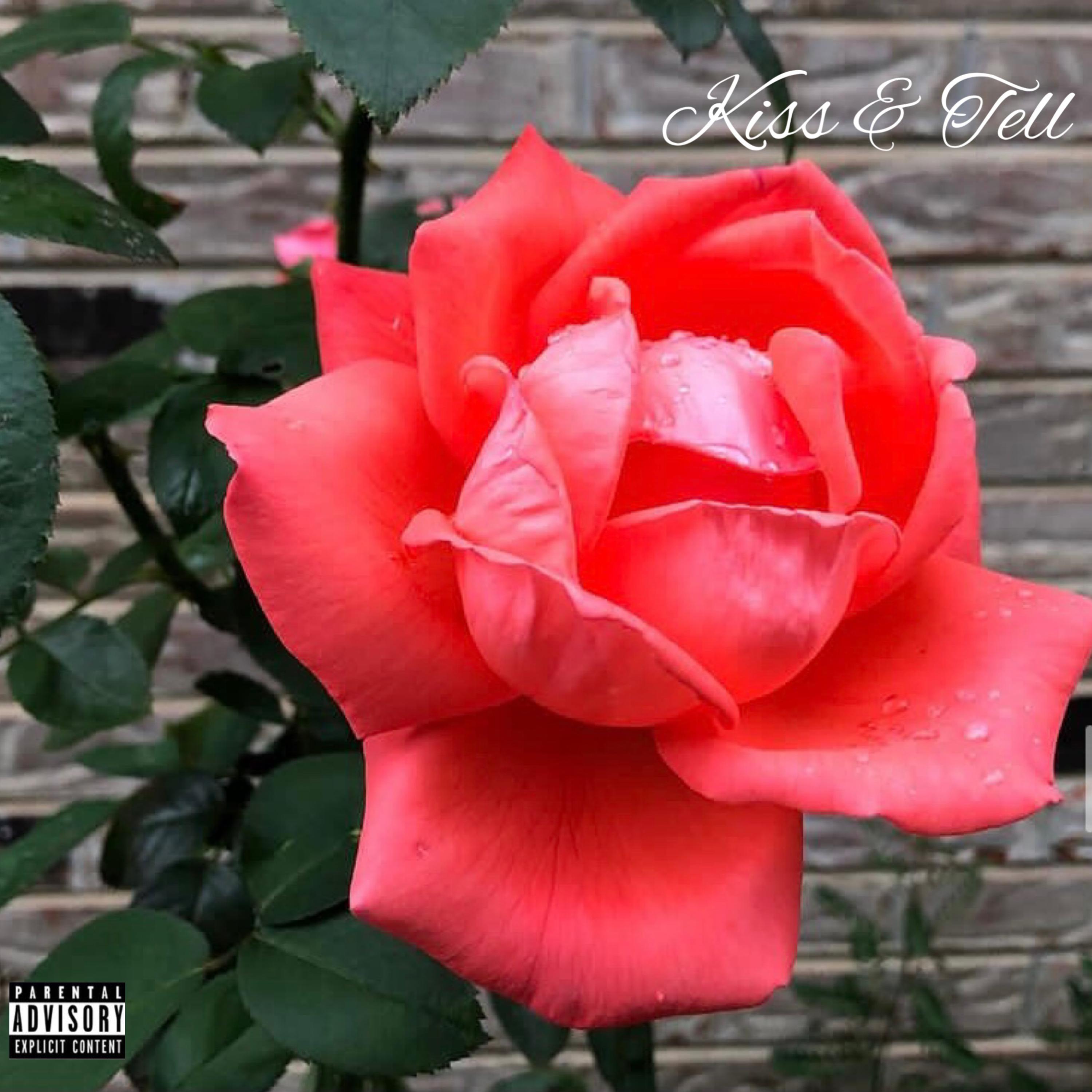 Kiss & Tell artwork