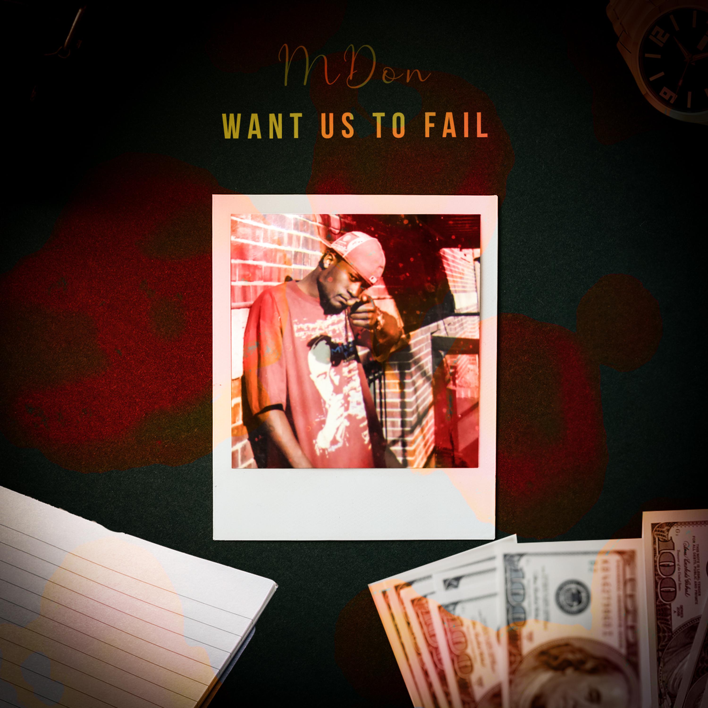 Want Us To Fail artwork