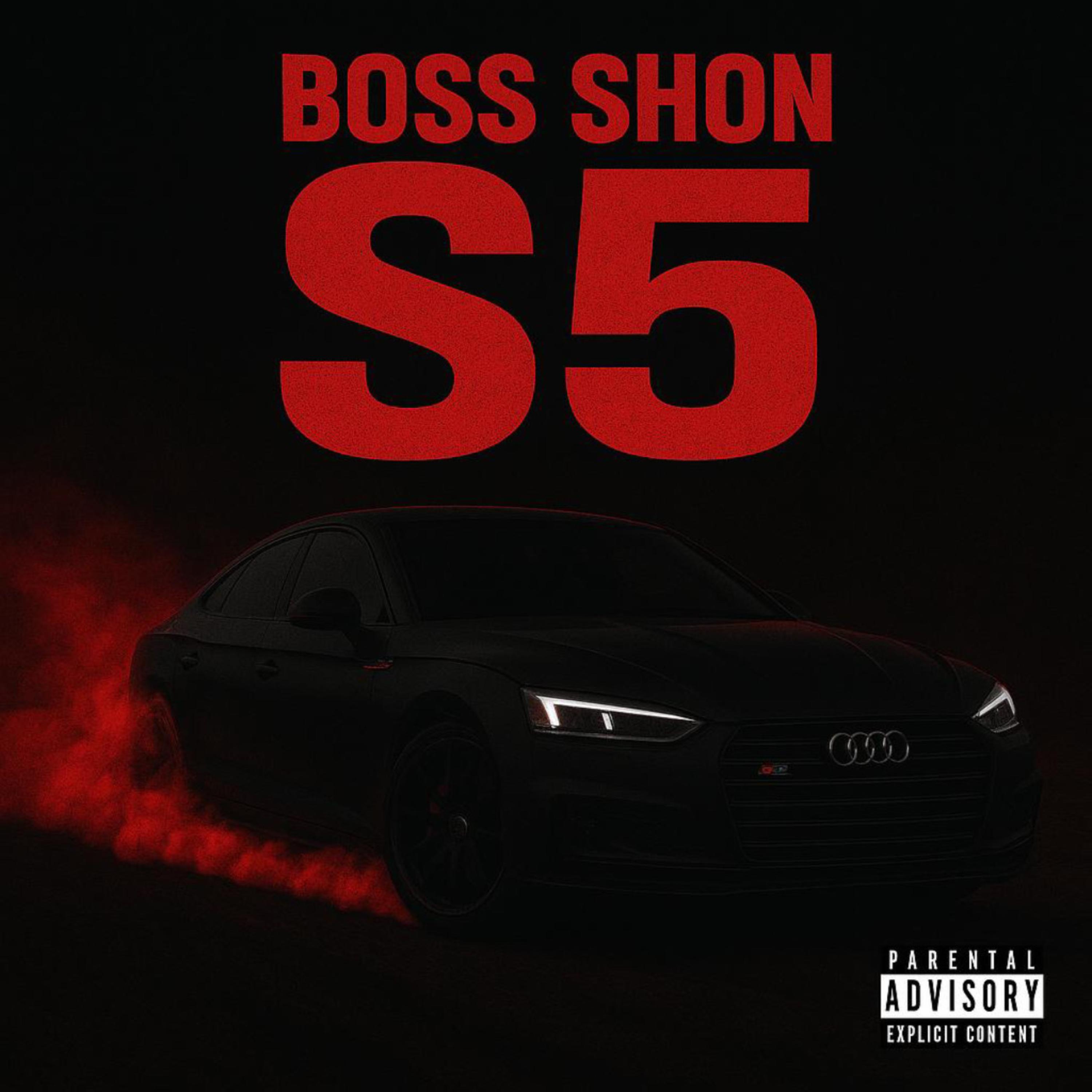 S5 artwork