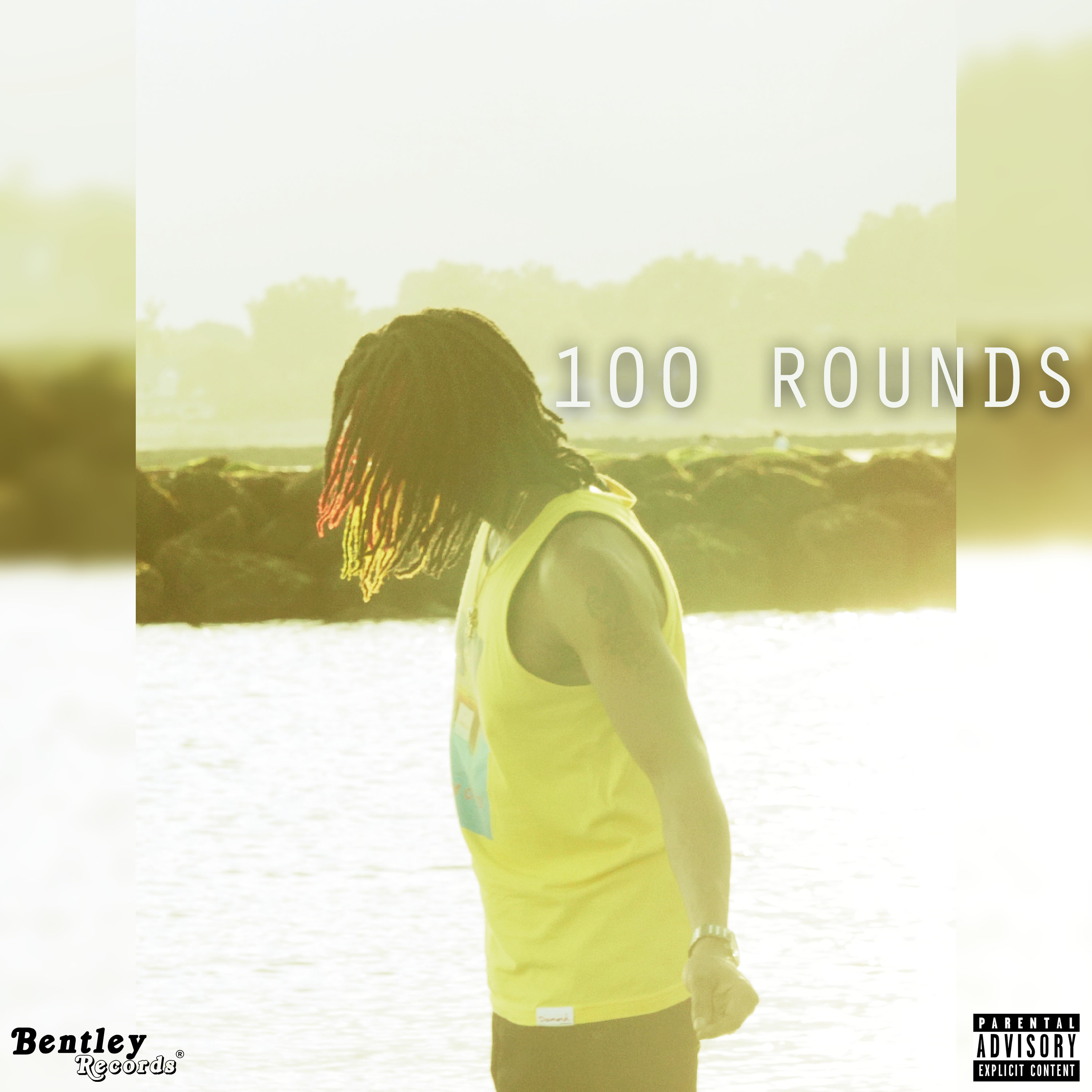 100 ROUNDS by Wildeast cover art