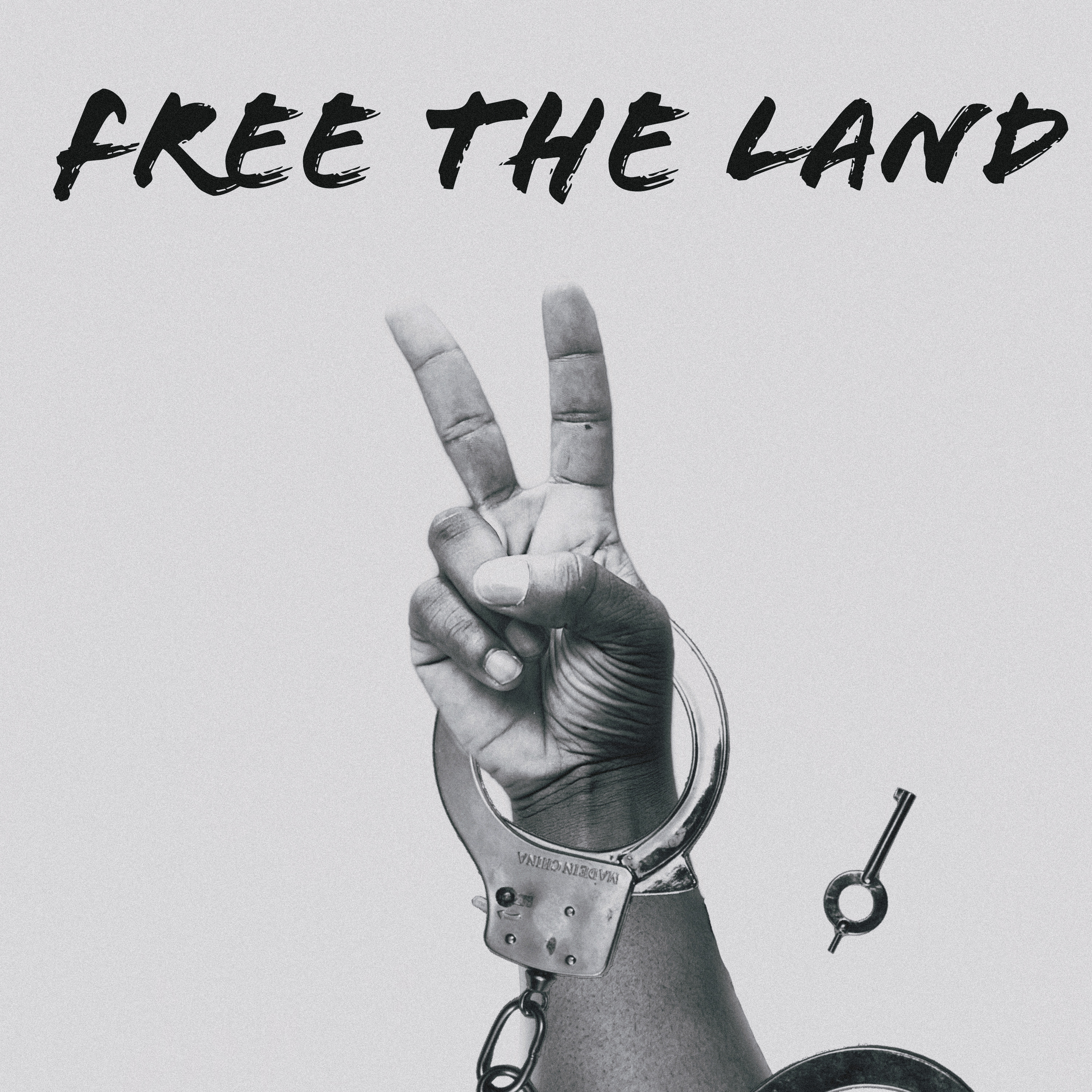 Free The Land 2 by ea youngin cover art