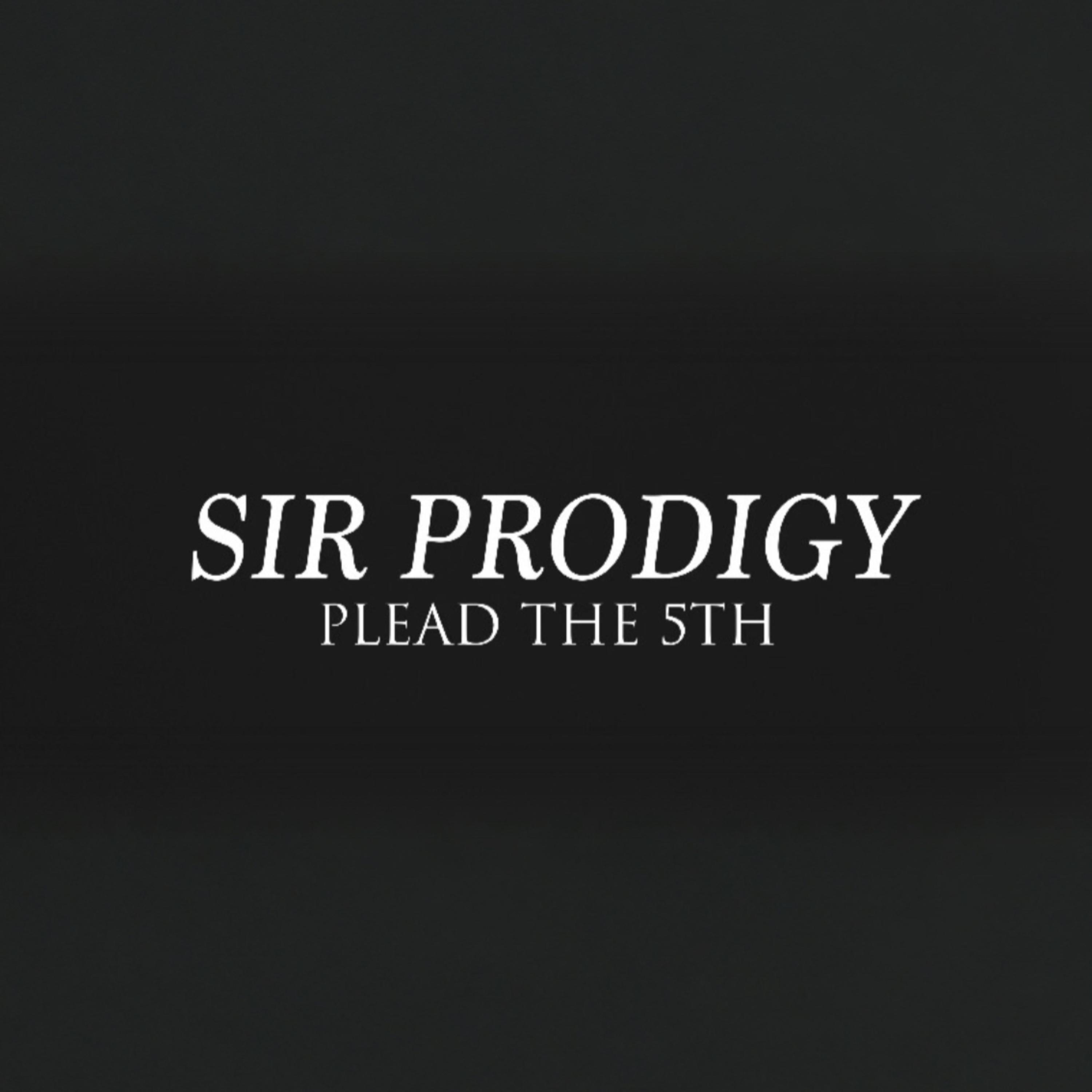 Plead The 5th artwork