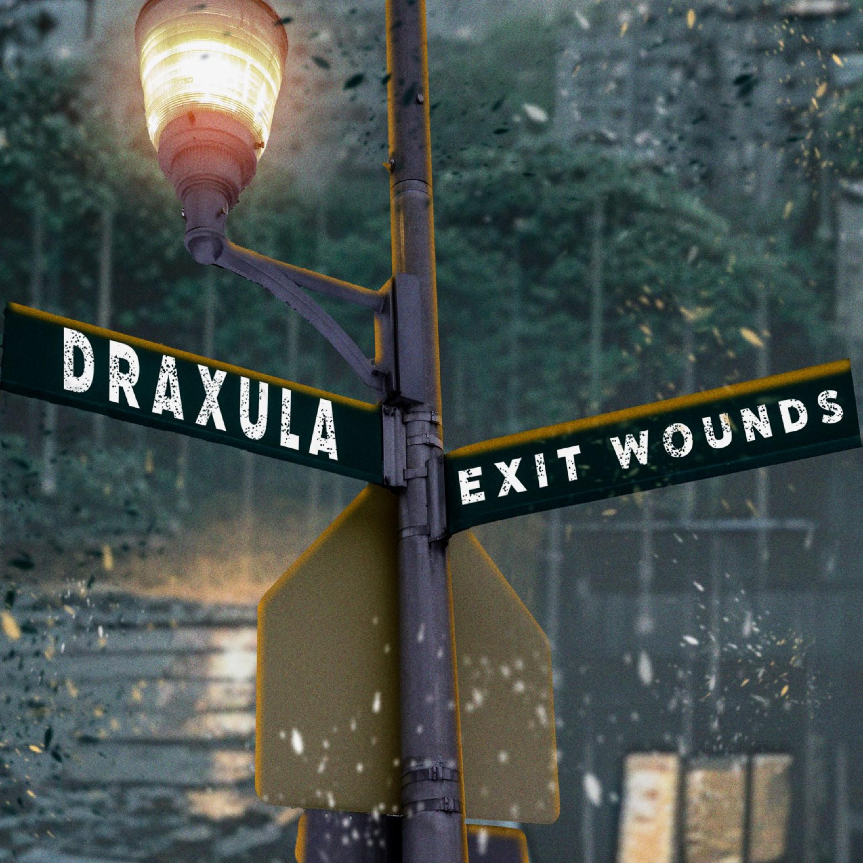 EXIT WOUNDS artwork