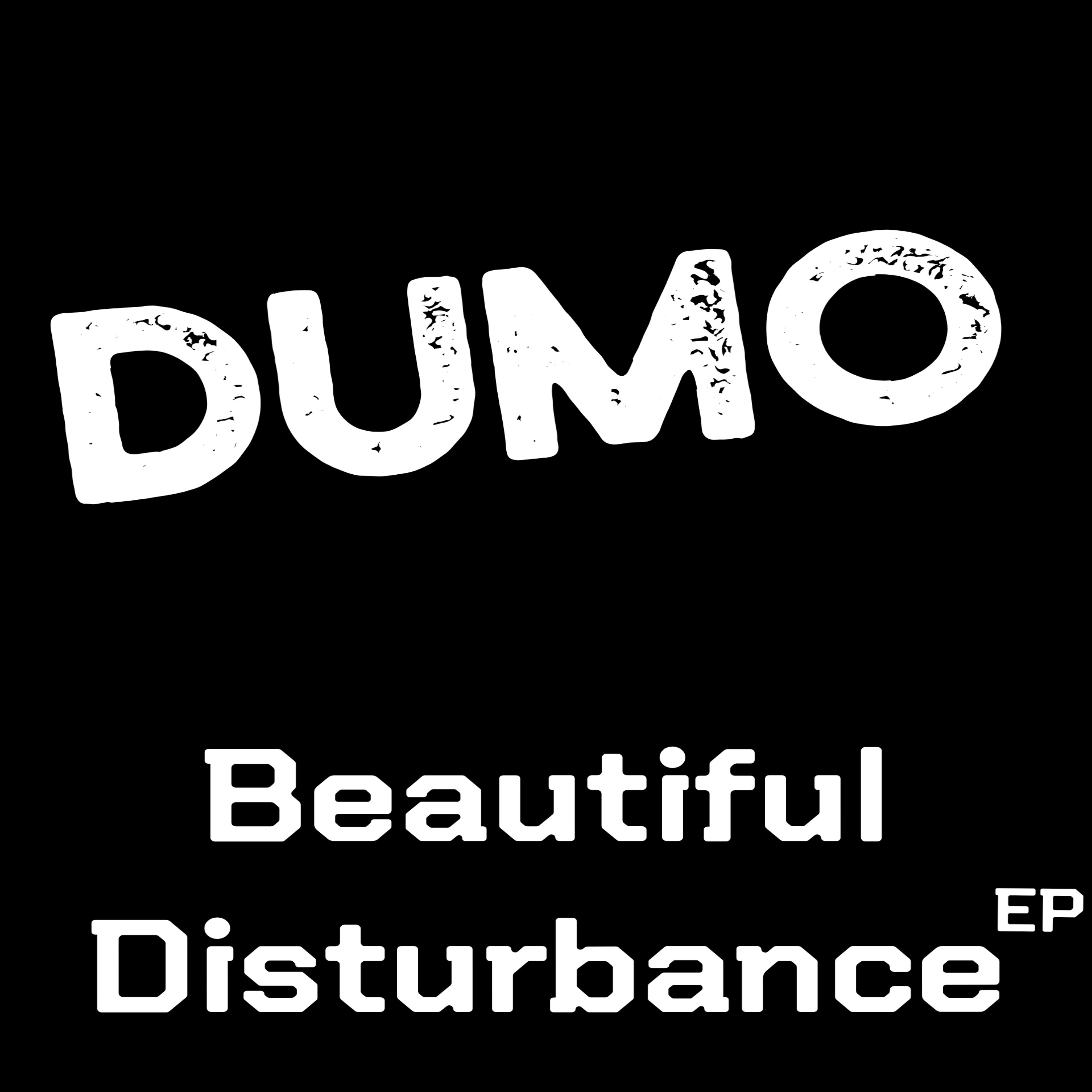 Beautiful Disturbance artwork