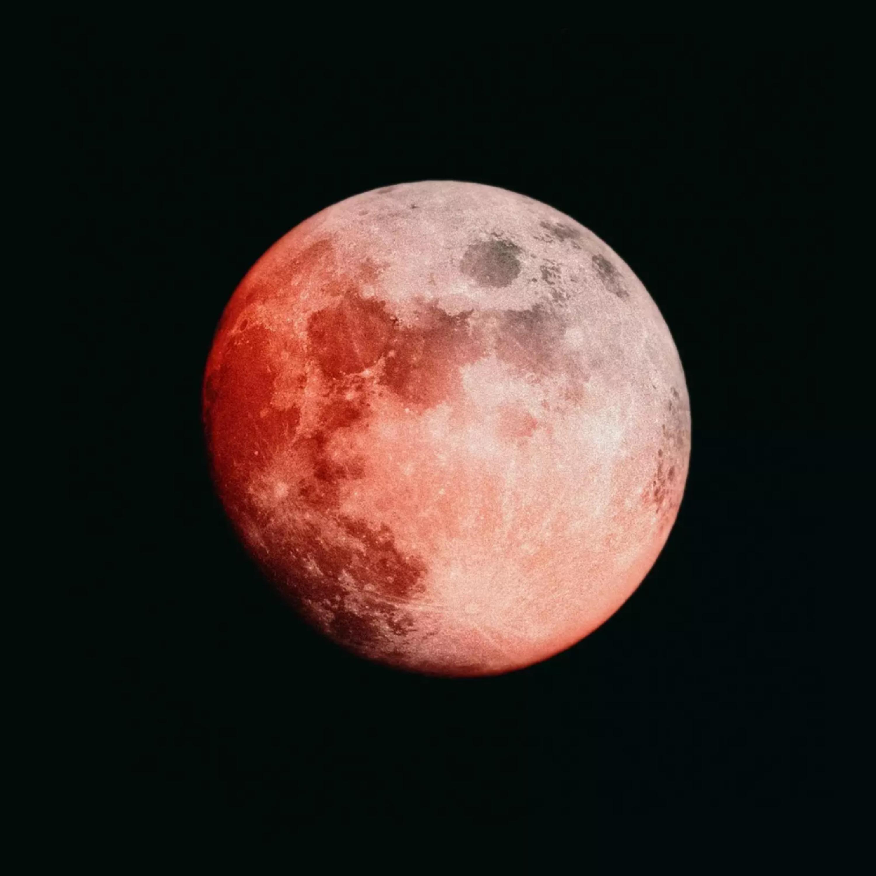 RedMoon artwork