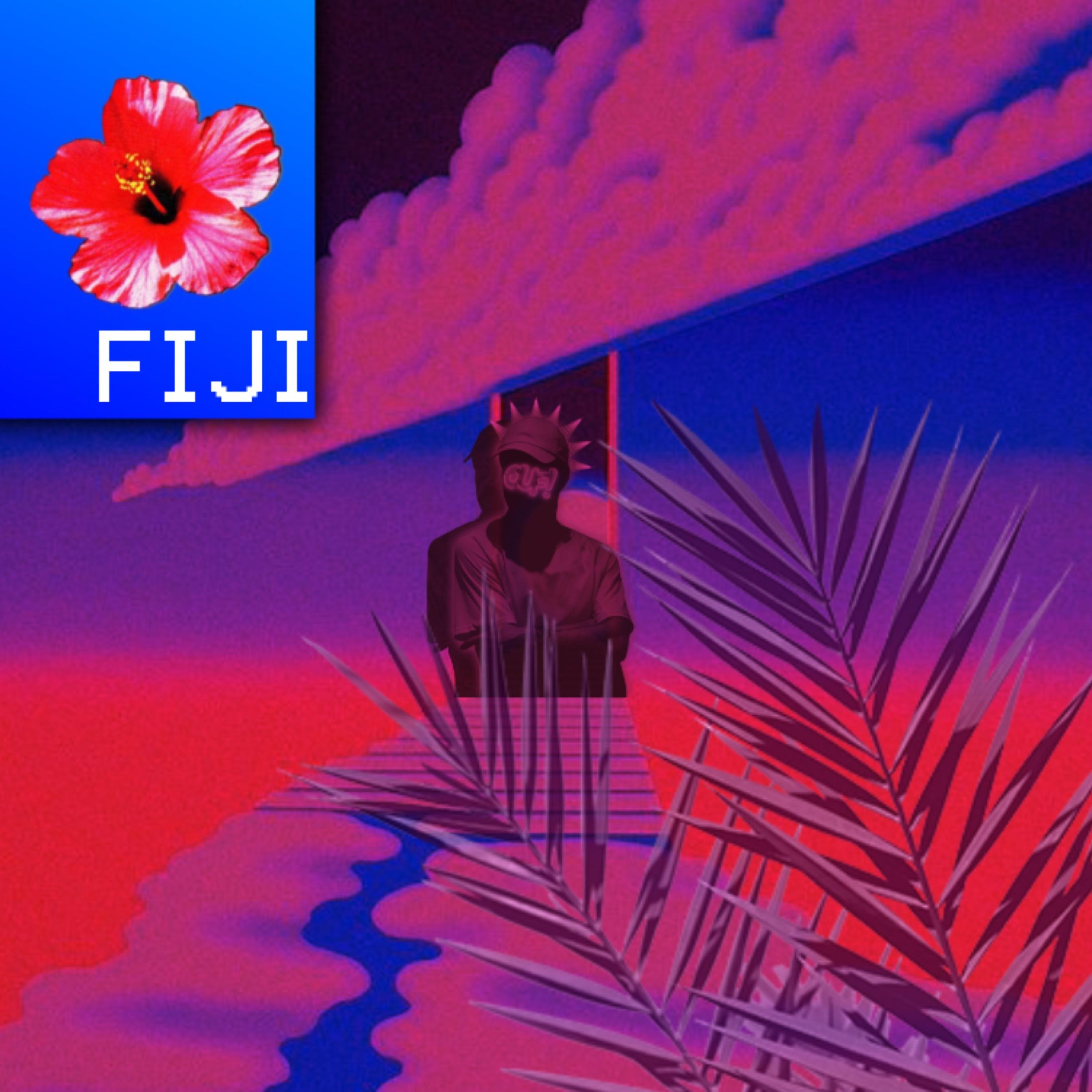 FIJI artwork