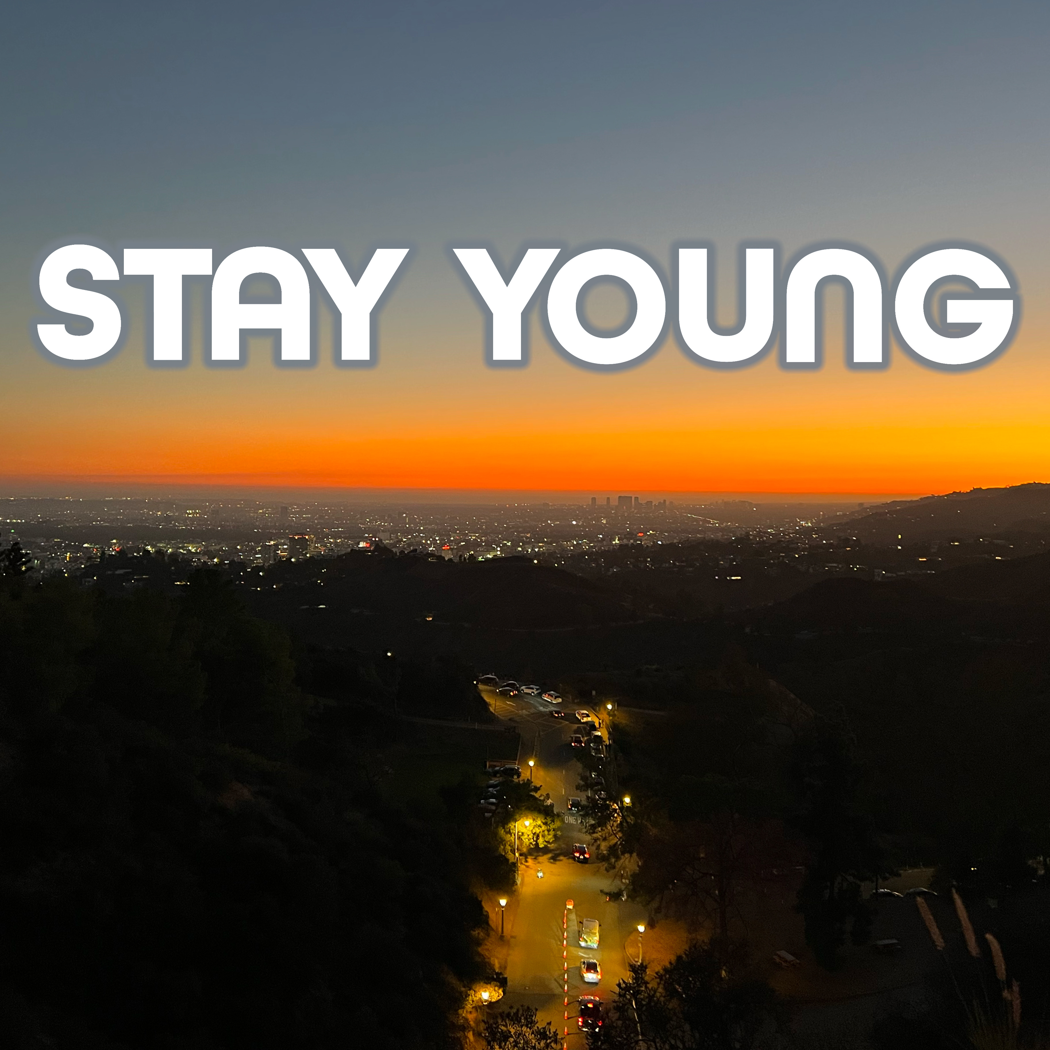Stay Young artwork