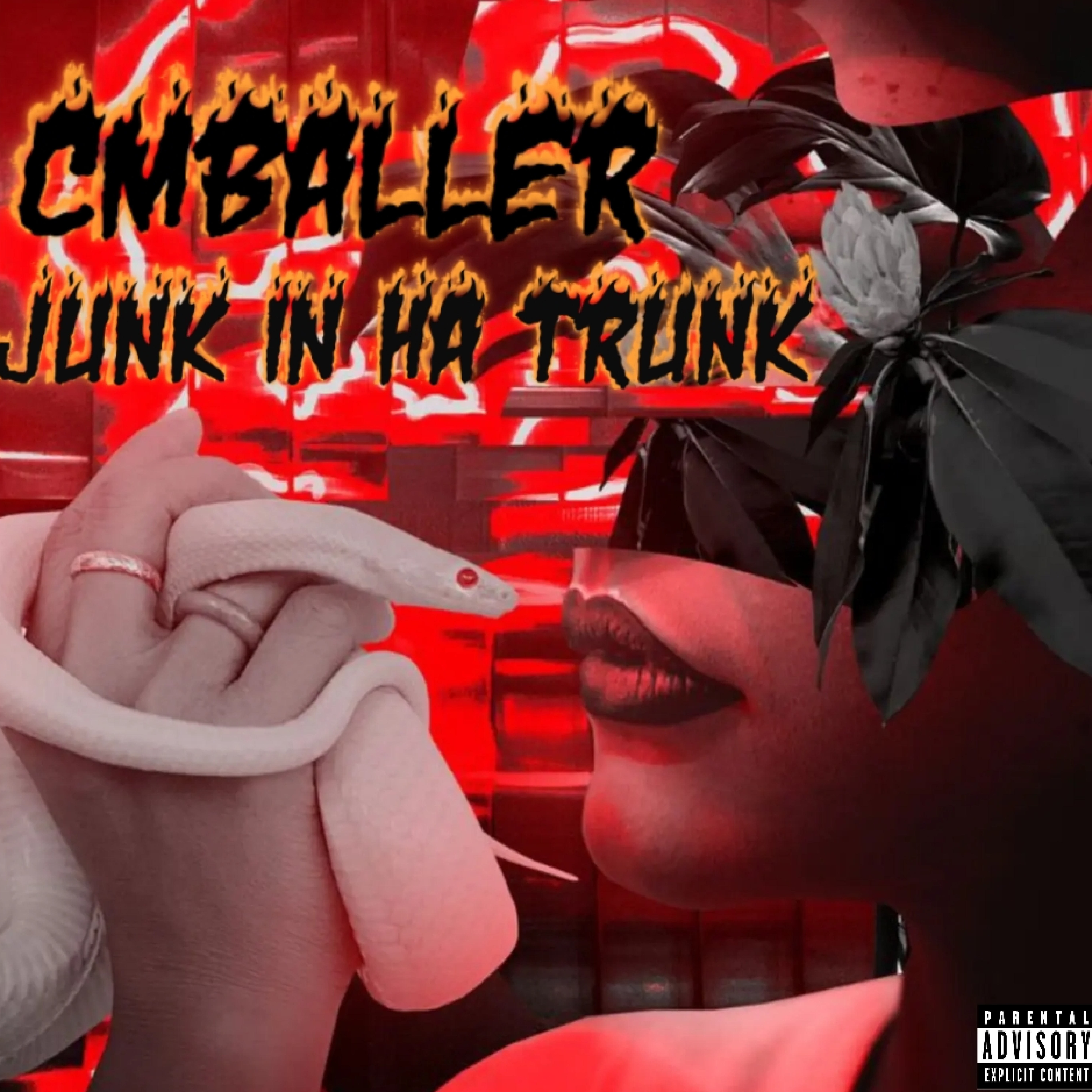 junk in ha trunk by Cmballer cover art