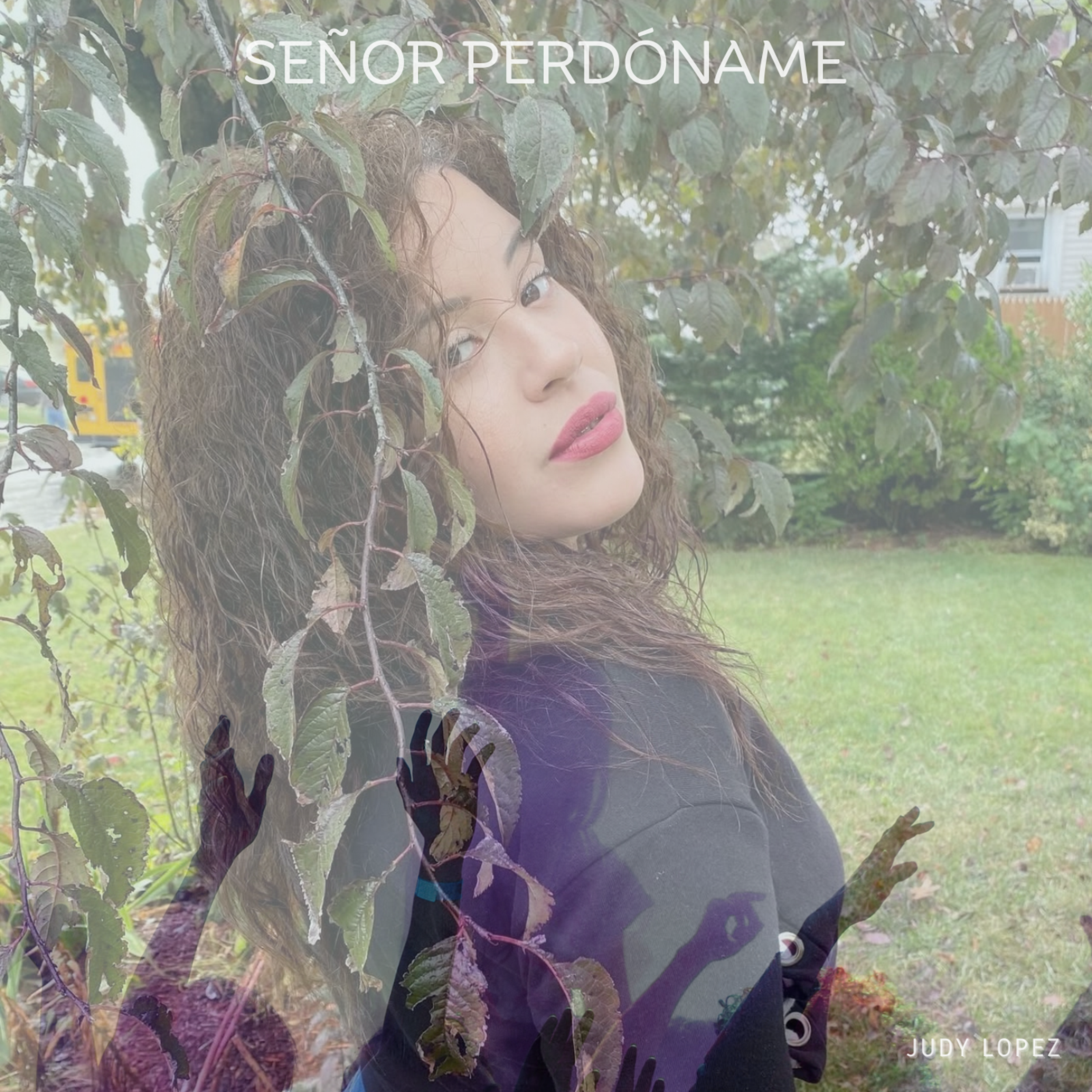 Señor, Perdóname artwork