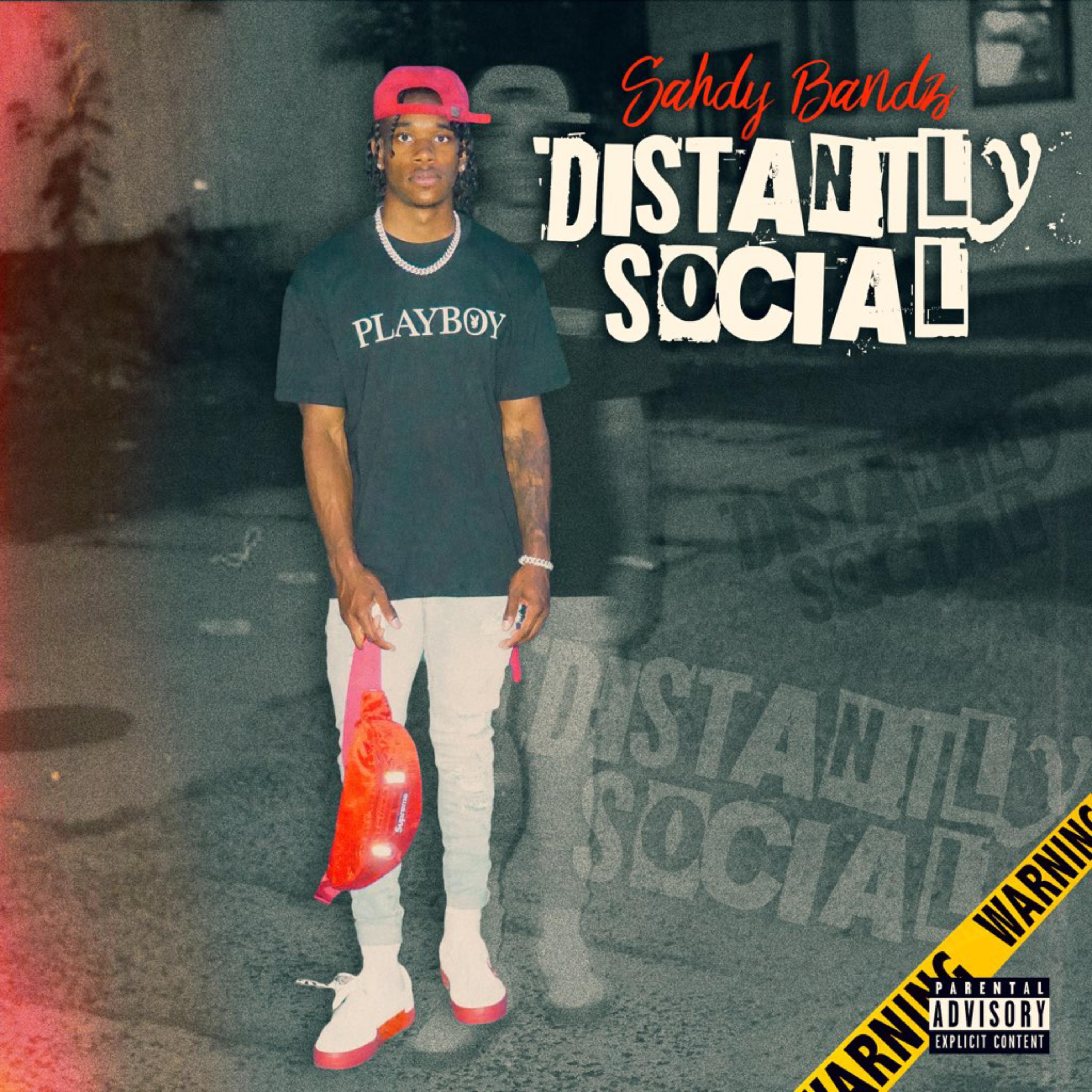 Distantly Social artwork