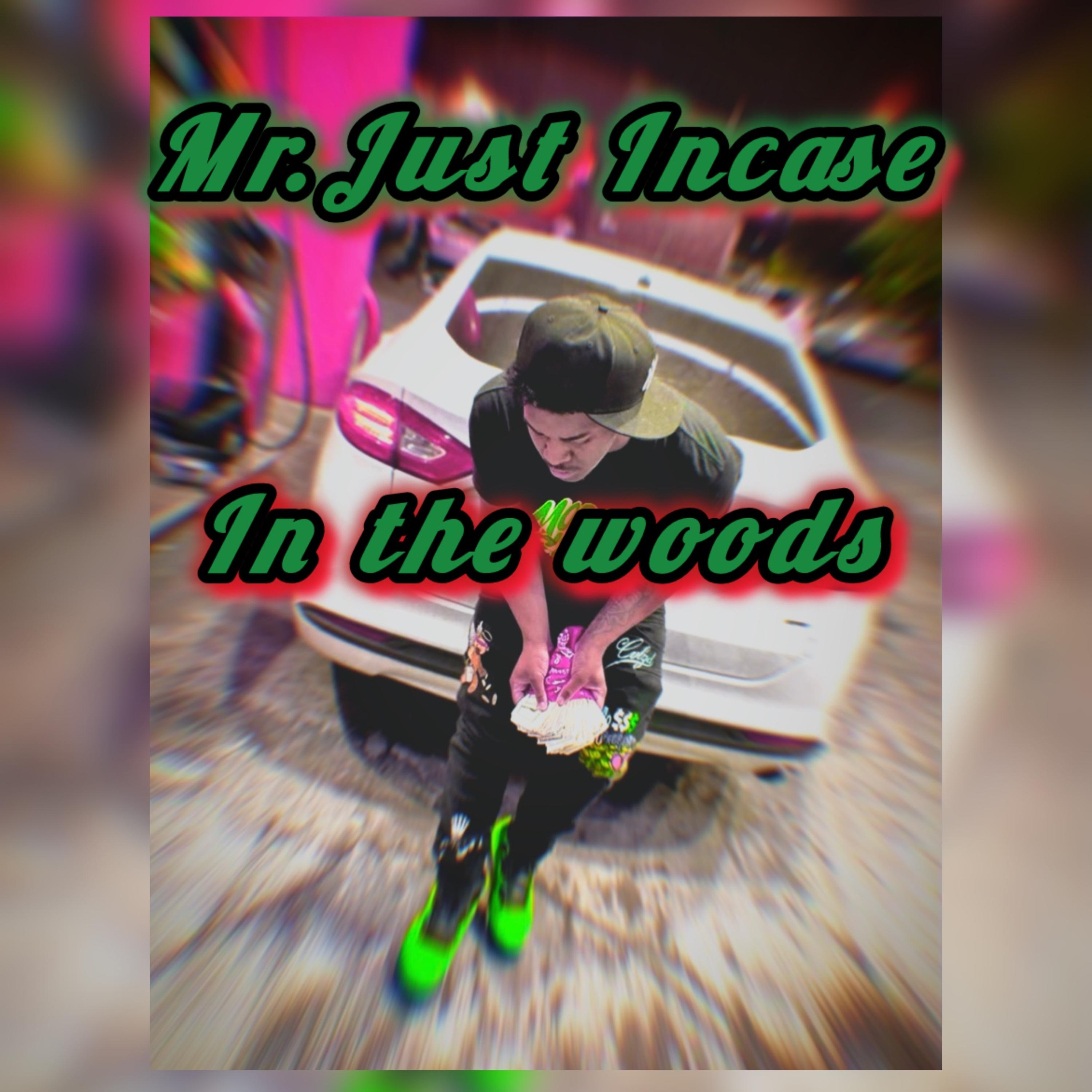 In The Woods artwork
