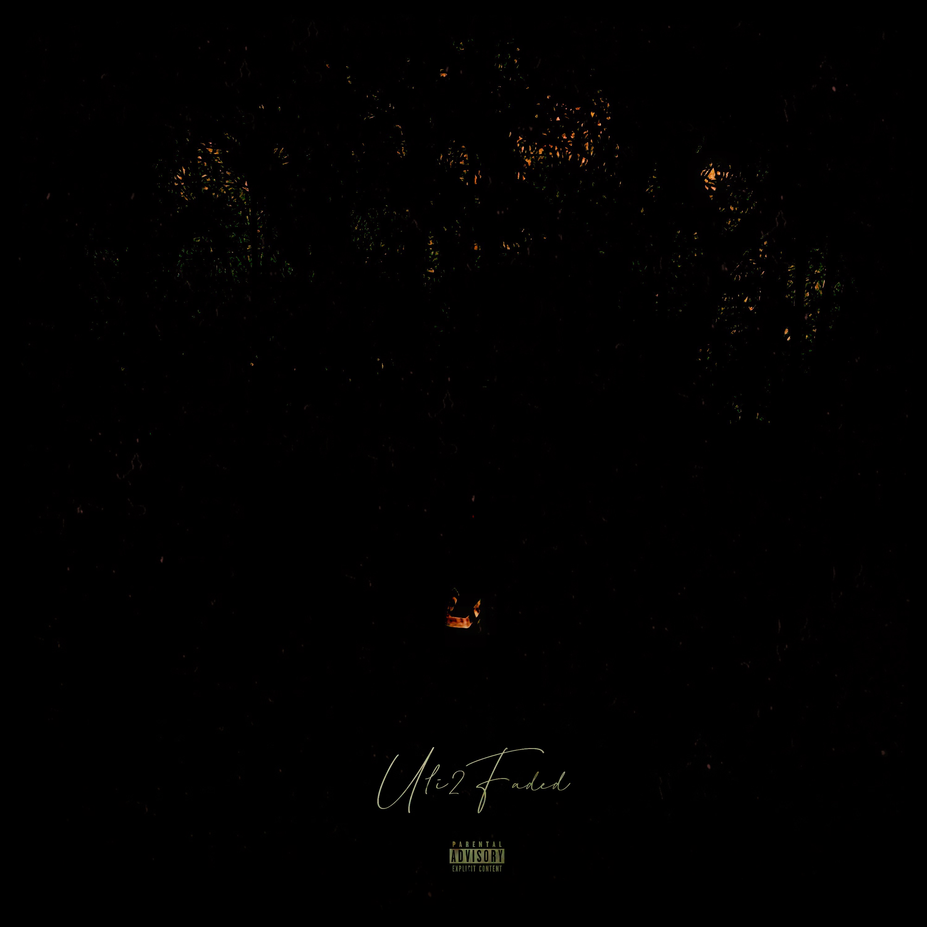 N00S3 artwork