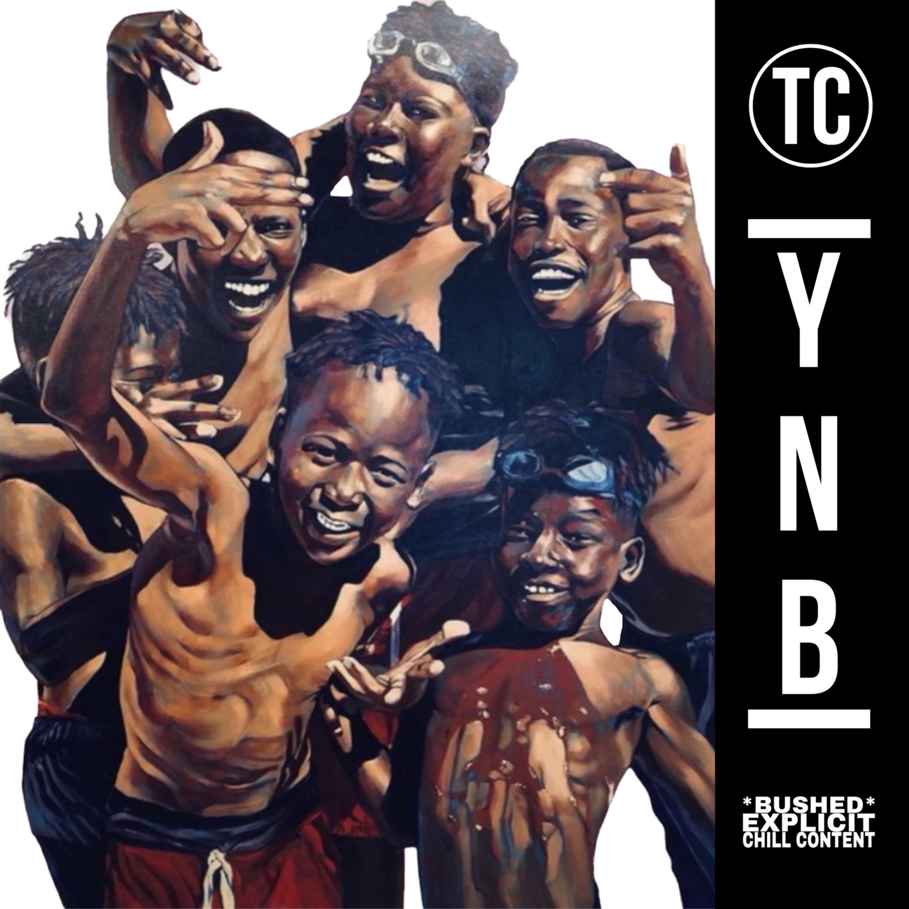 YNB artwork