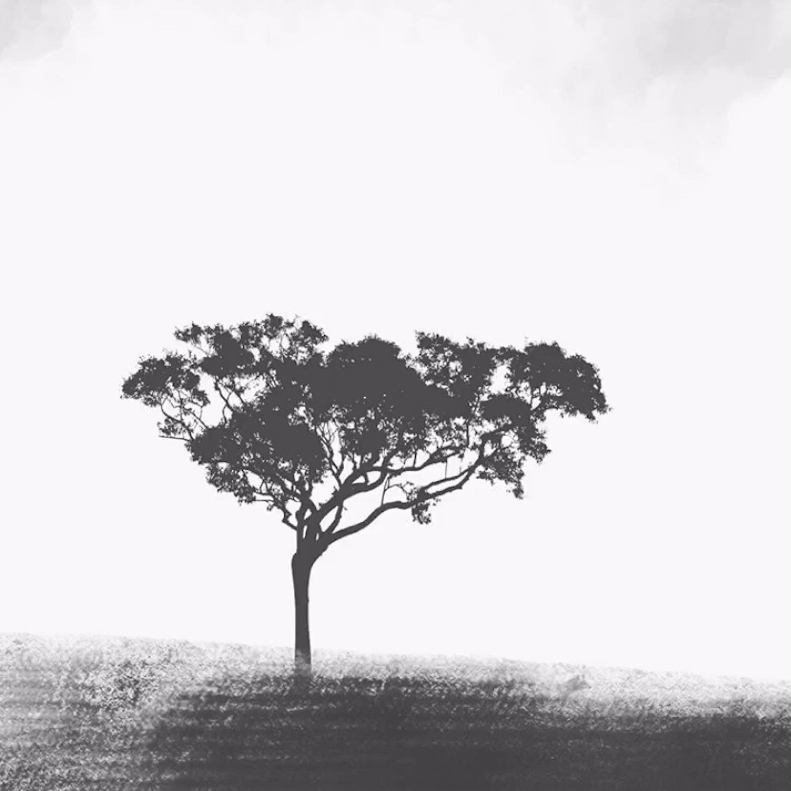 Borrowed Time artwork