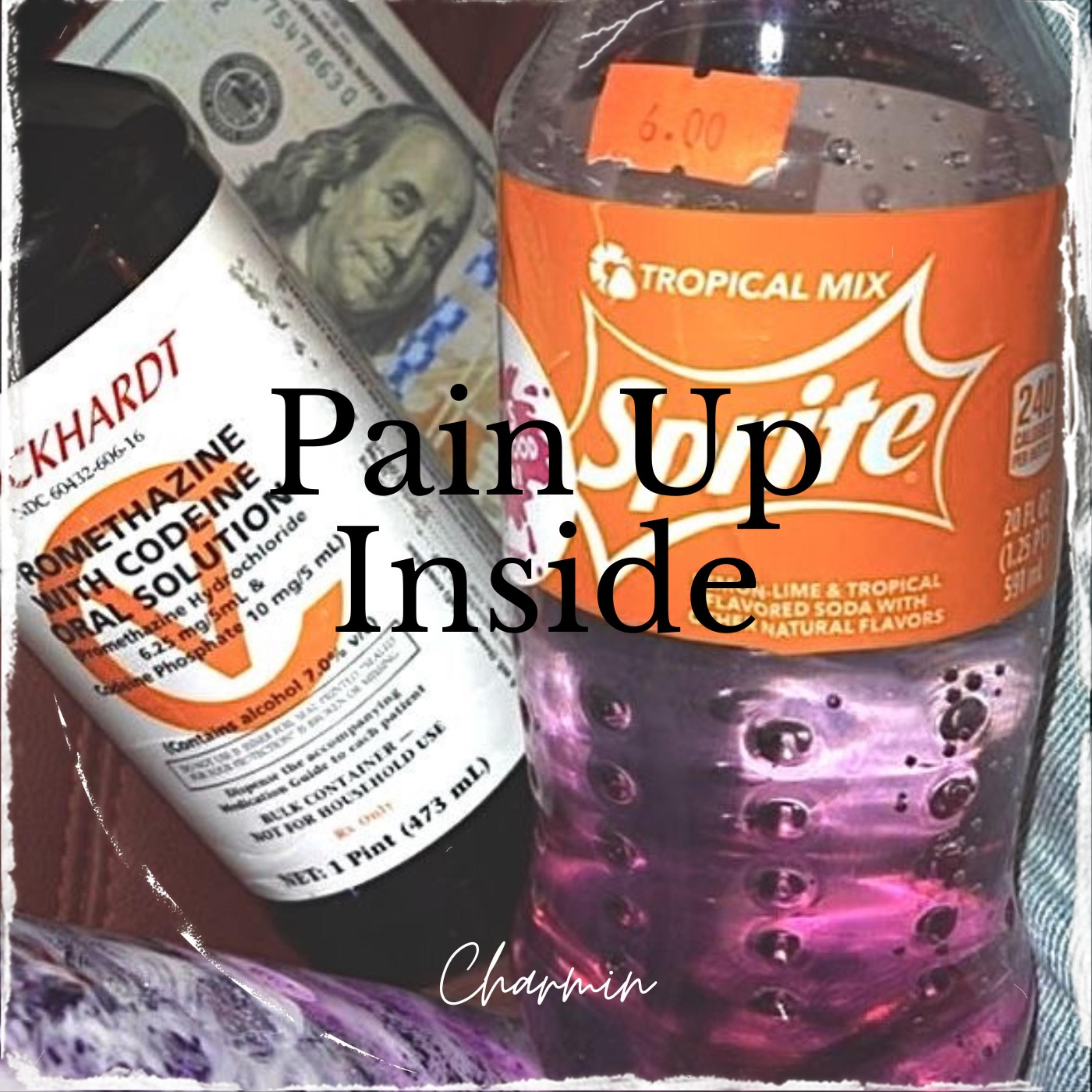 Pain Up Inside by Charmin Ace cover art