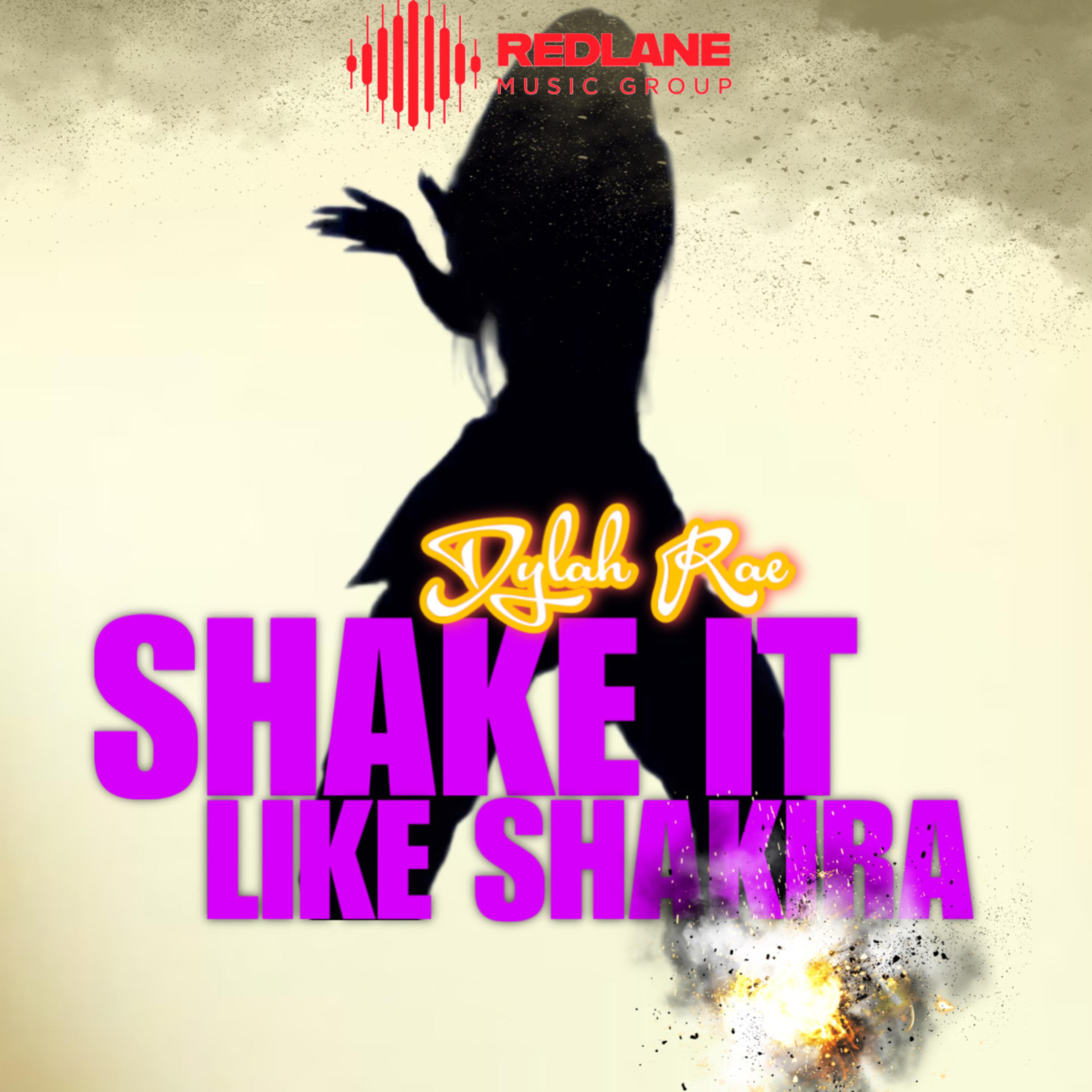 Shake It Like Shakira artwork