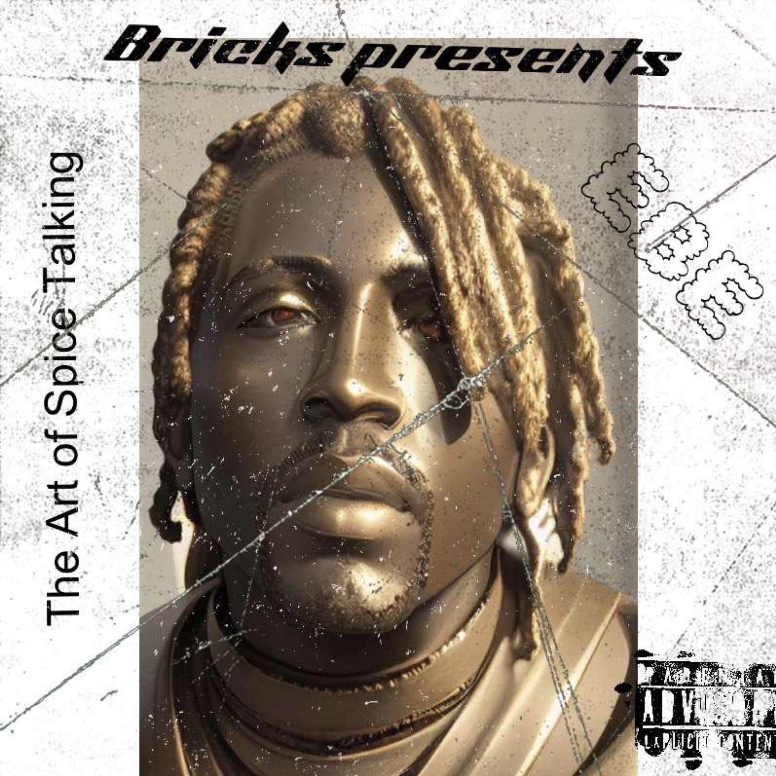 The Art Of Spice Talking artwork