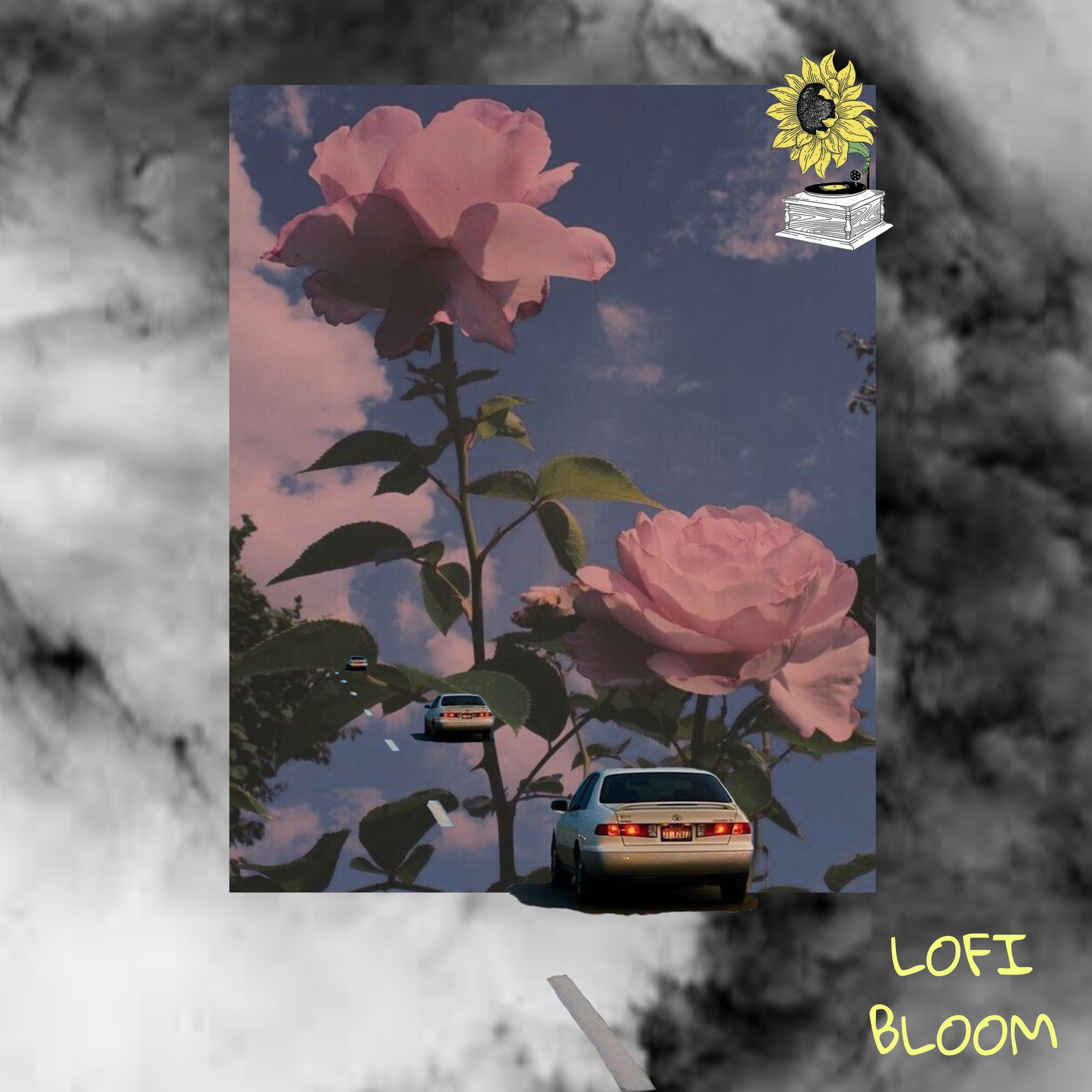 LOFI BLOOM artwork