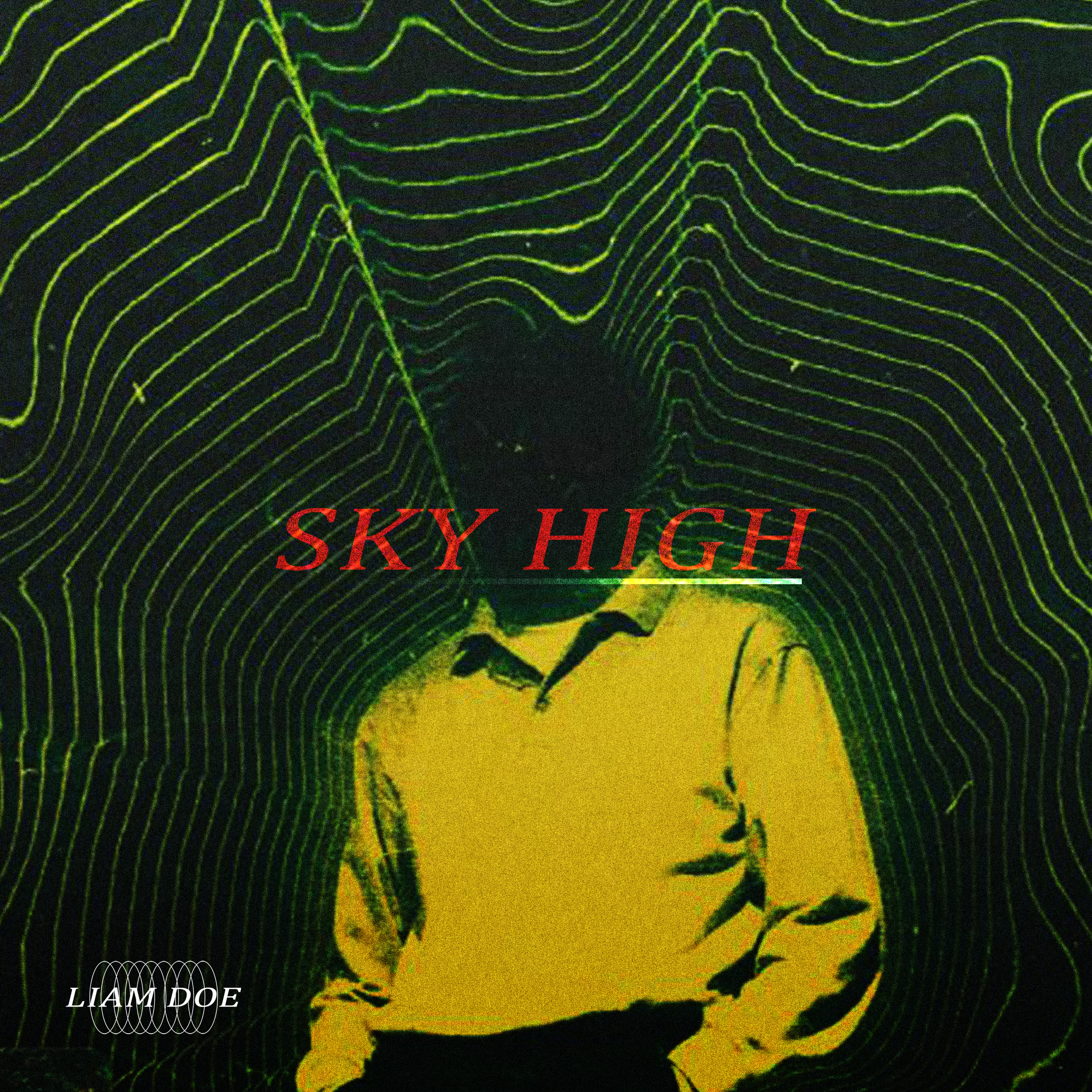 SKY HIGH by LIAM DOE cover art
