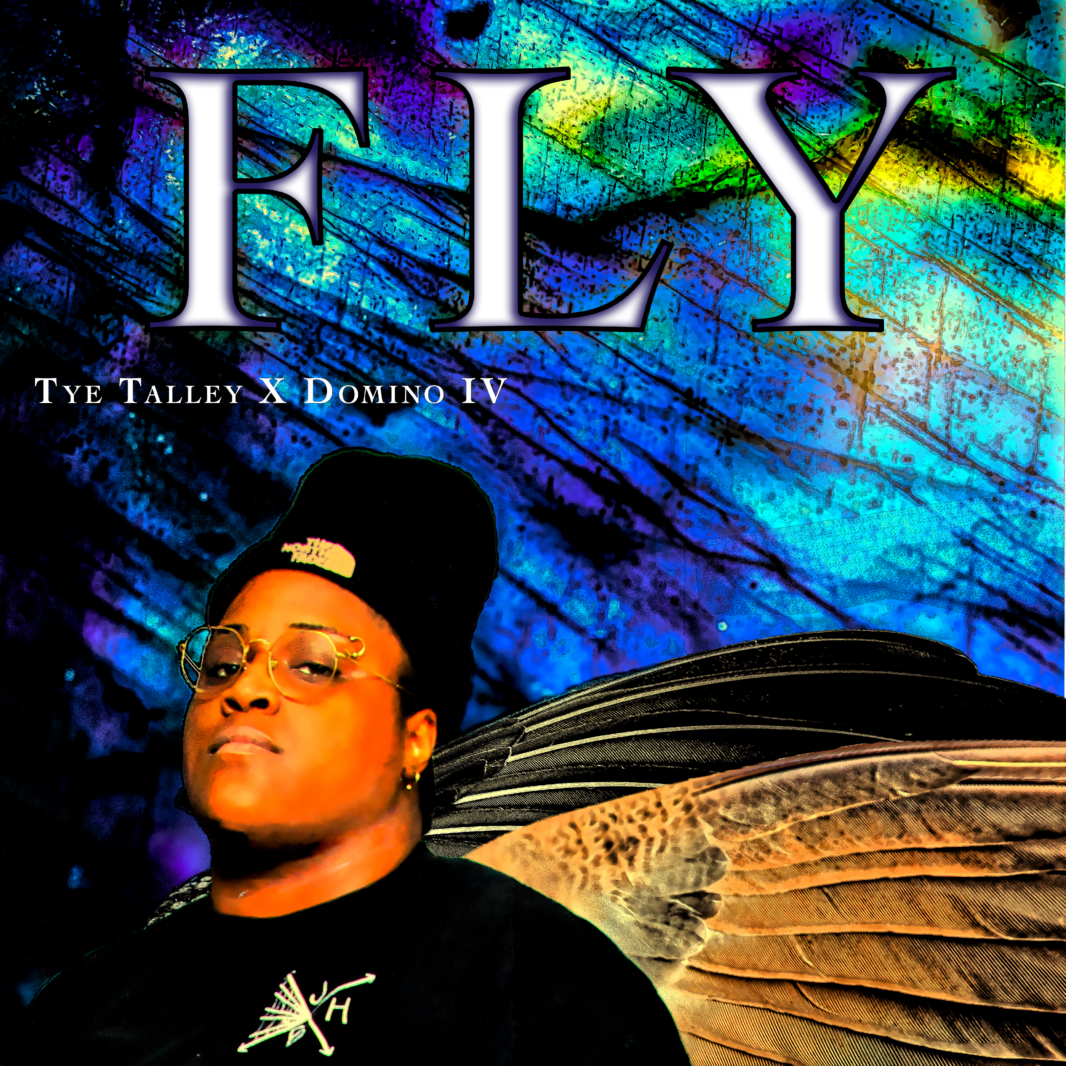 Fly artwork