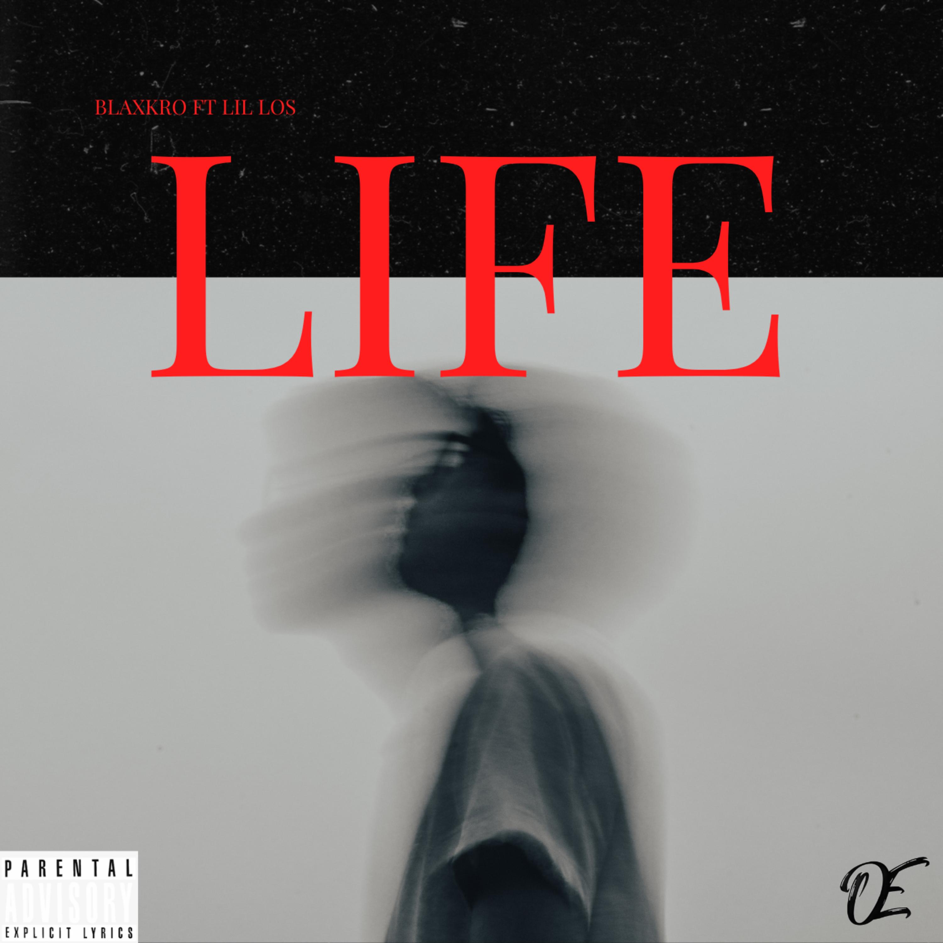 Life by BlaxkRo cover art