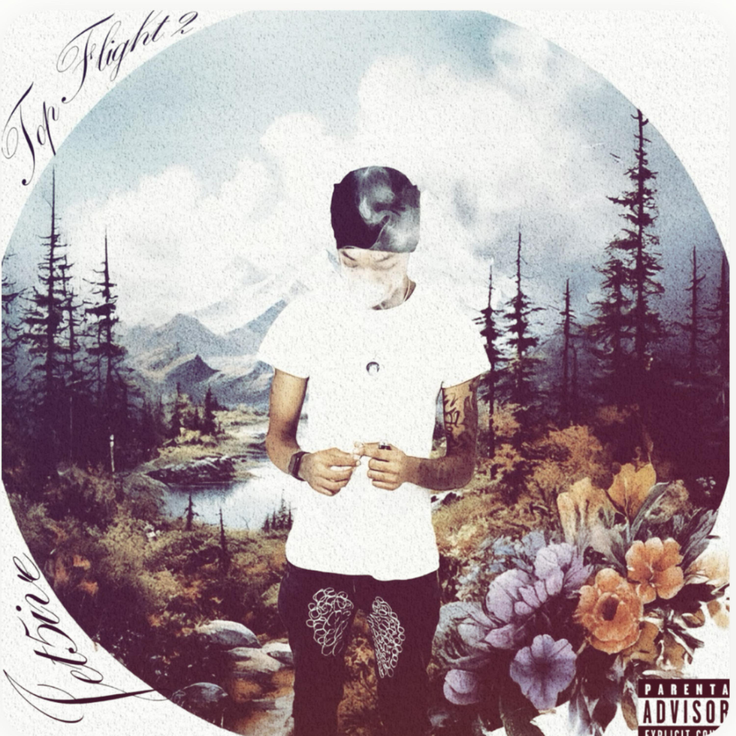 Top Flight 2 (Deluxe) artwork