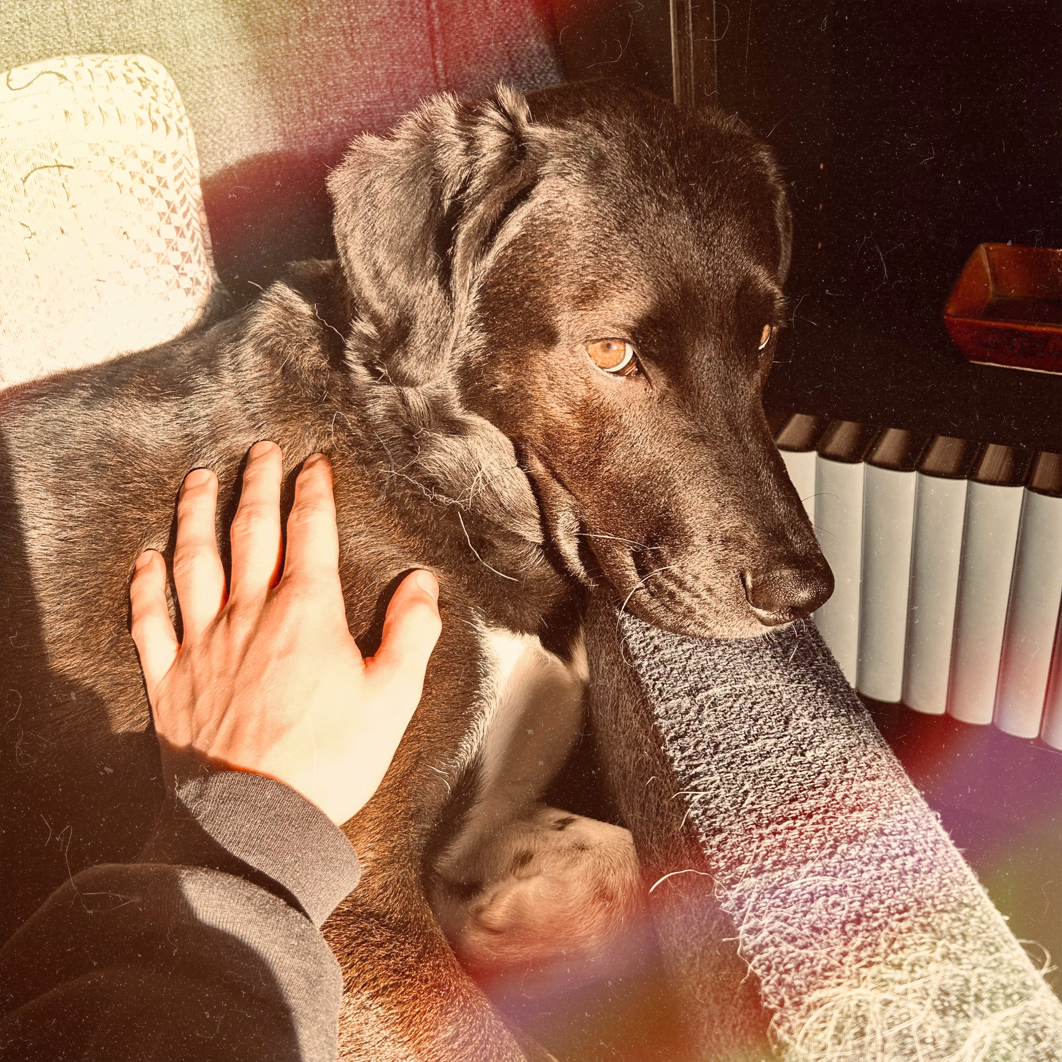 Hand Delivered artwork