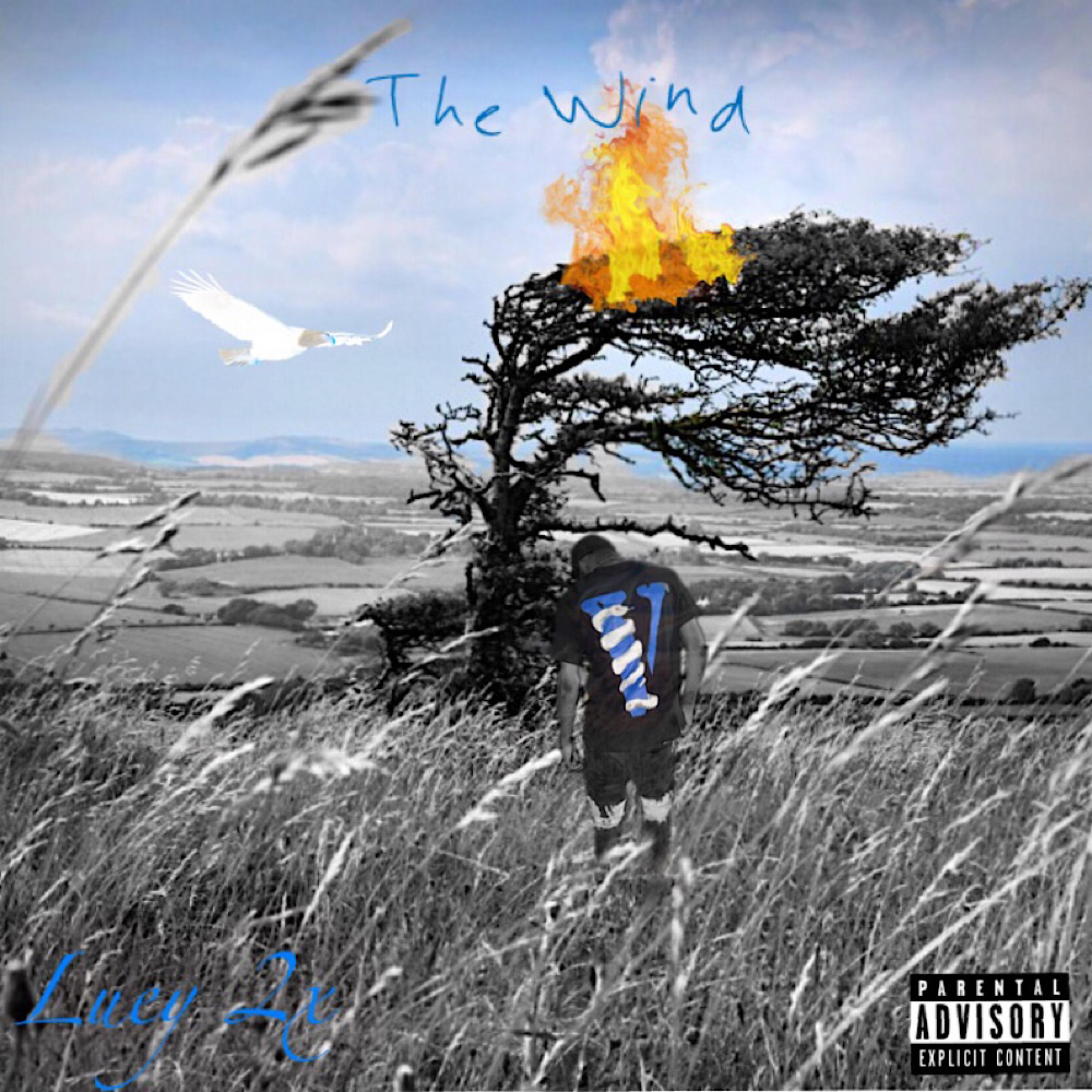 The Wind artwork