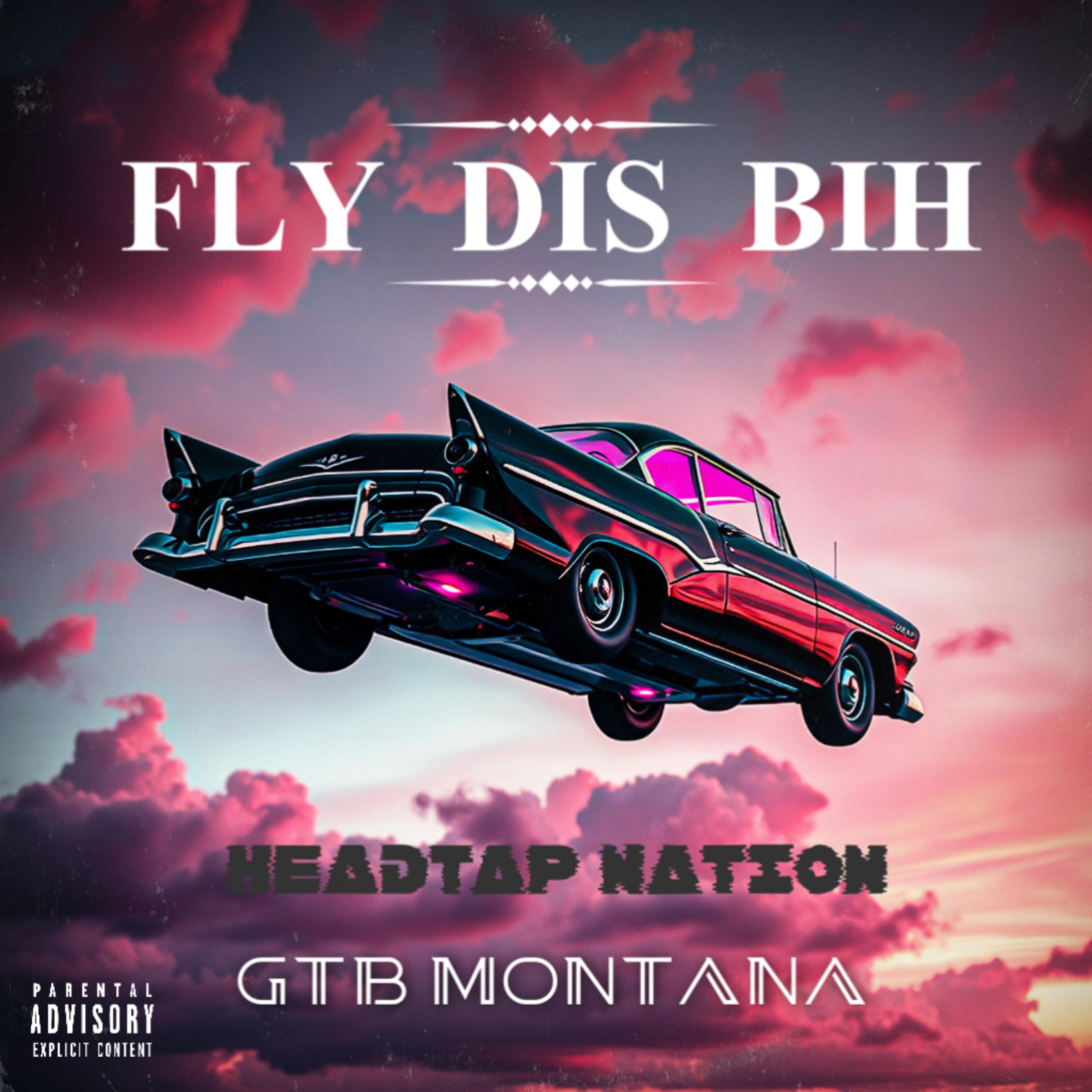 Fly Dis Bihh artwork