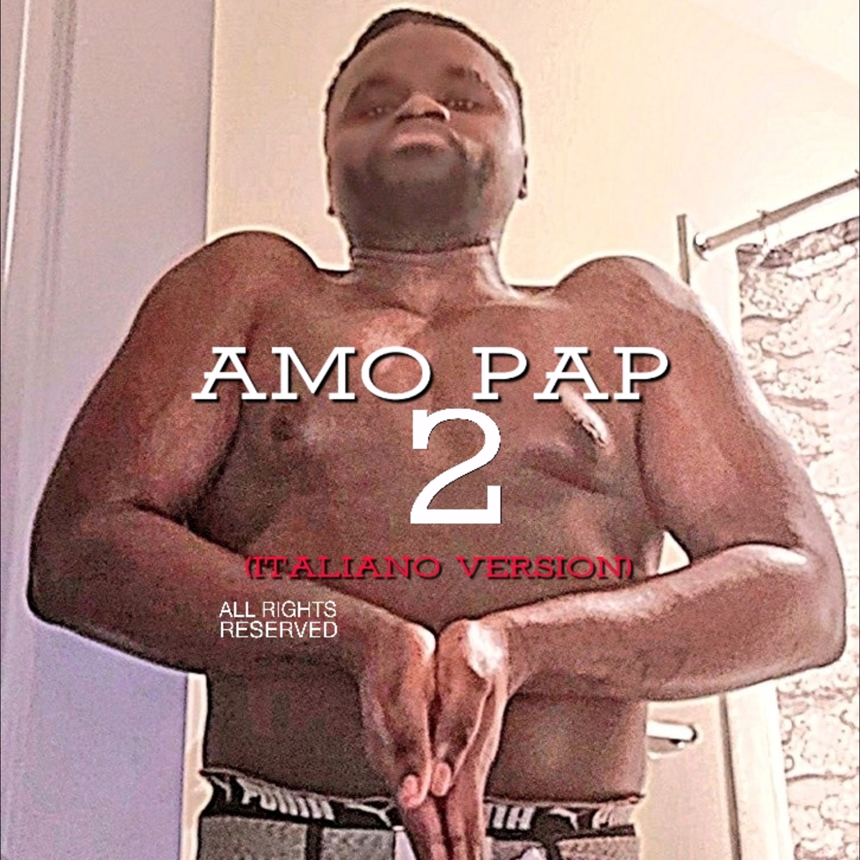 AMO PAP 2 (Italiano Version) artwork