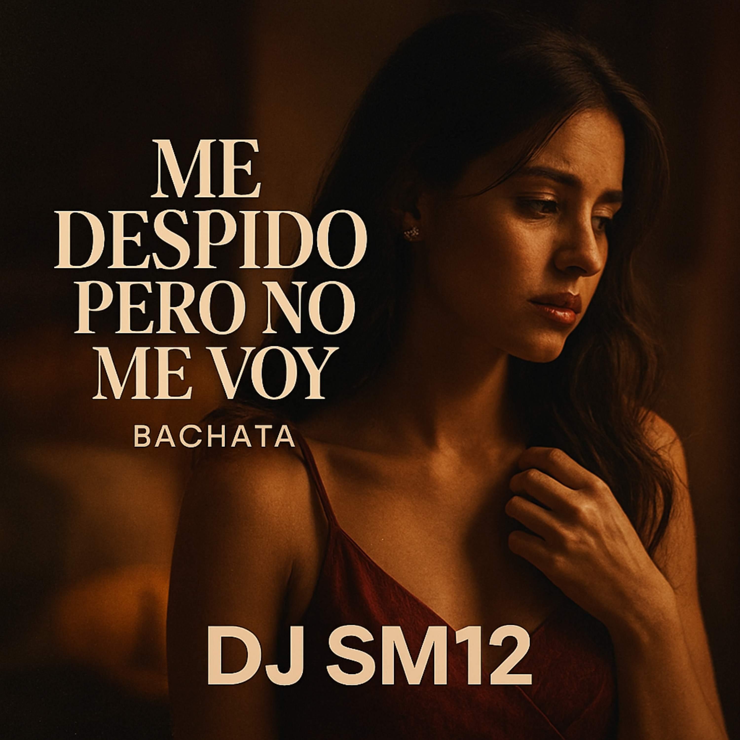 ME DESPIDO PERO NO ME VOY artwork