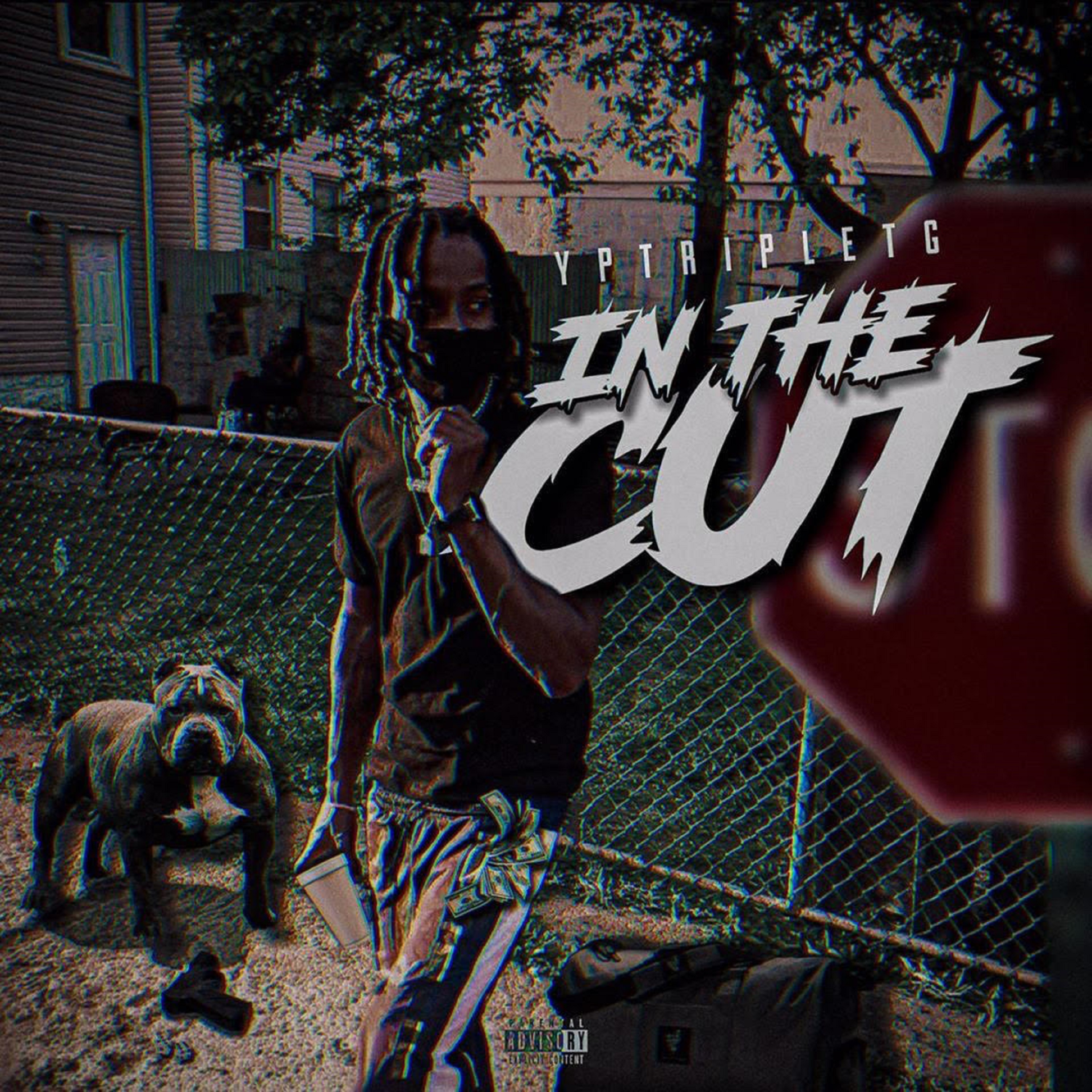 IN THE CUT artwork