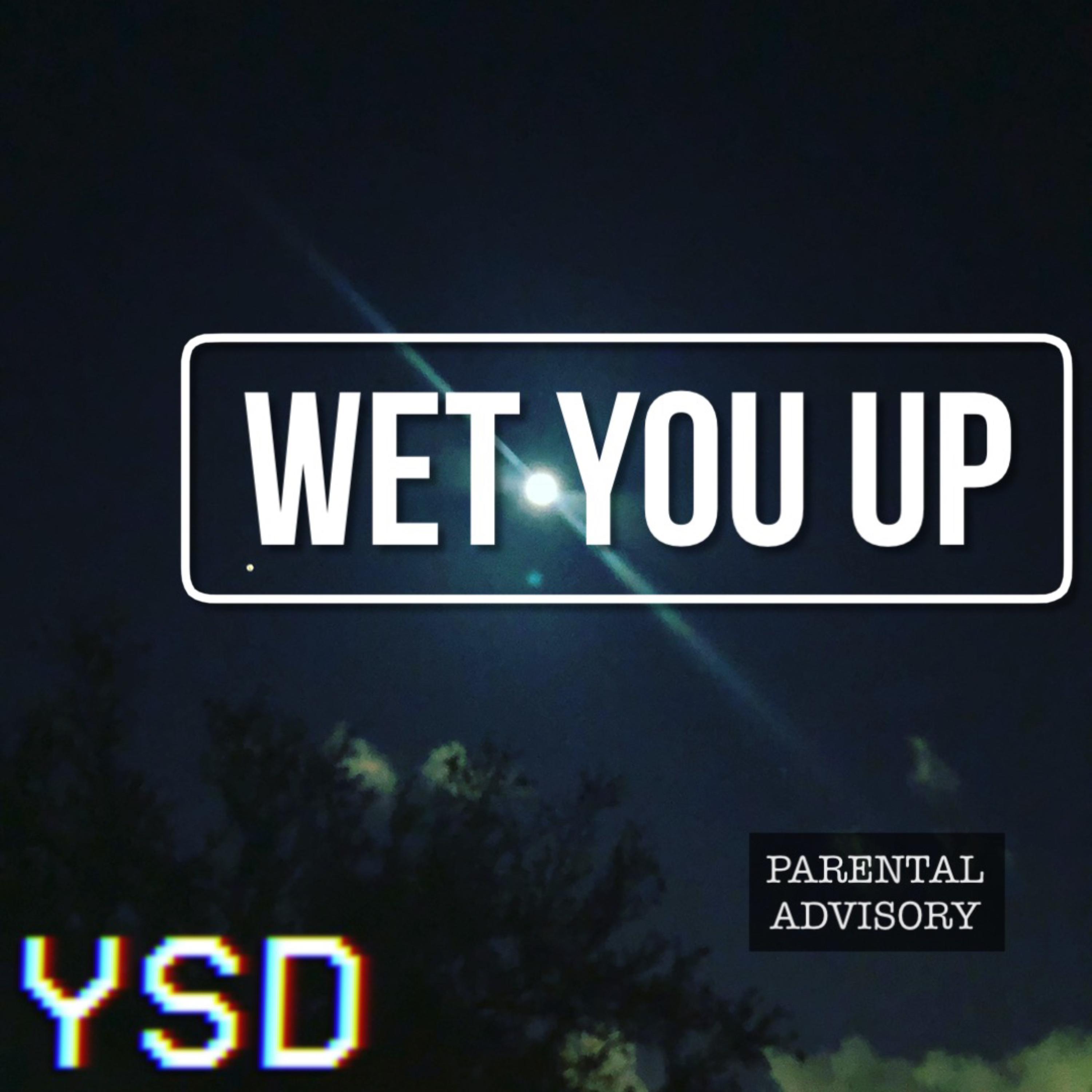 WET YOU UP artwork