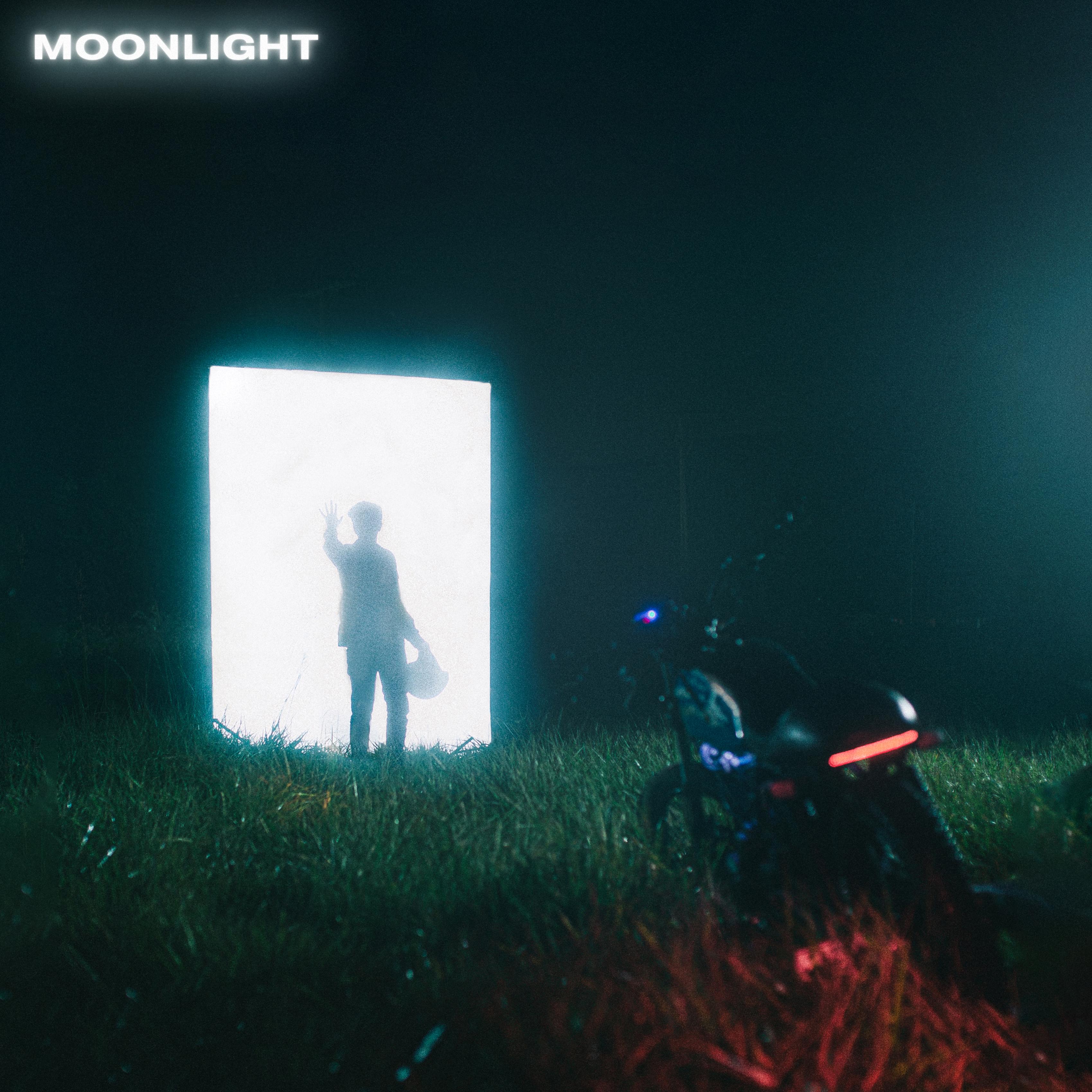 Moonlight artwork