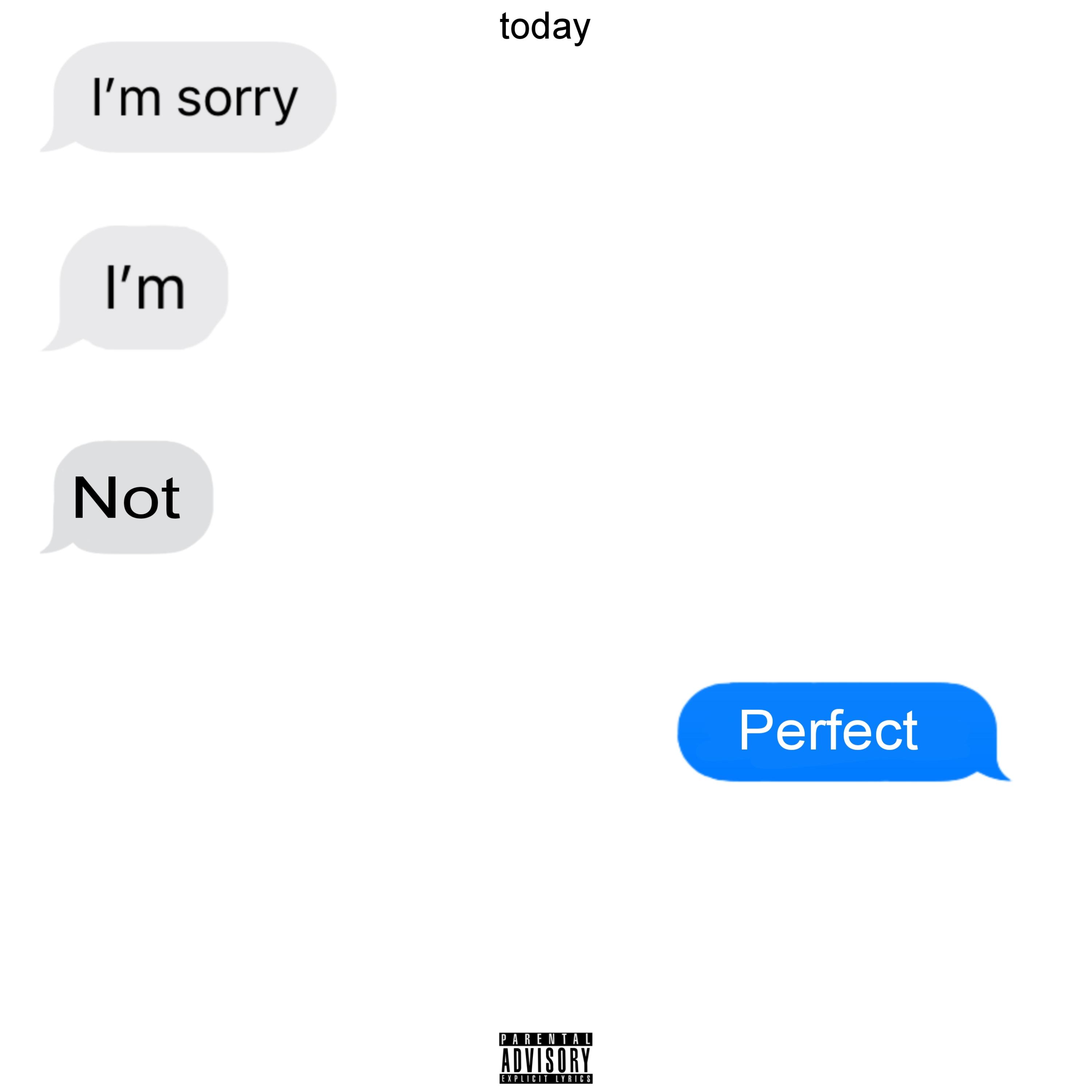 SORRY IM NOT PERFECT artwork