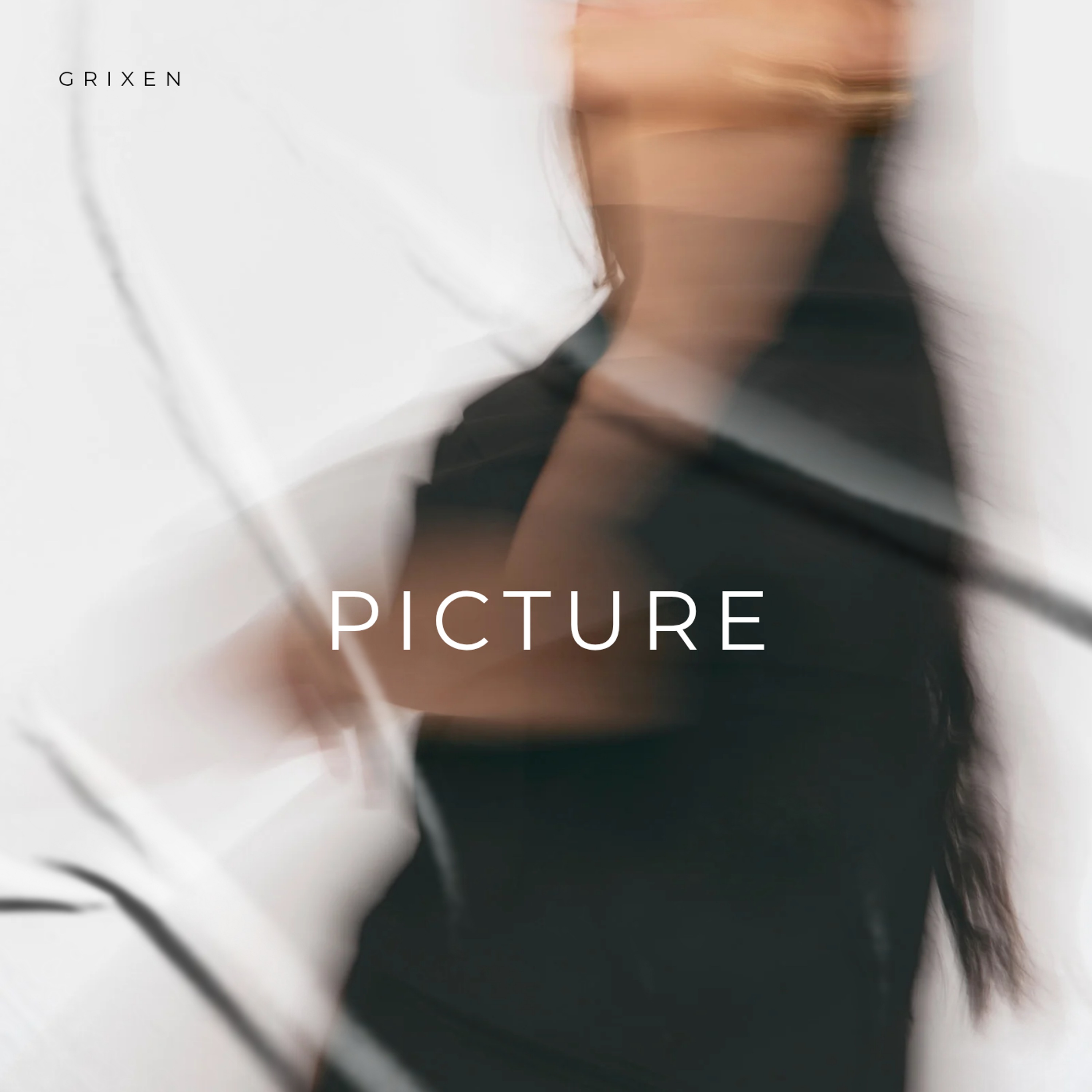 PICTURE artwork