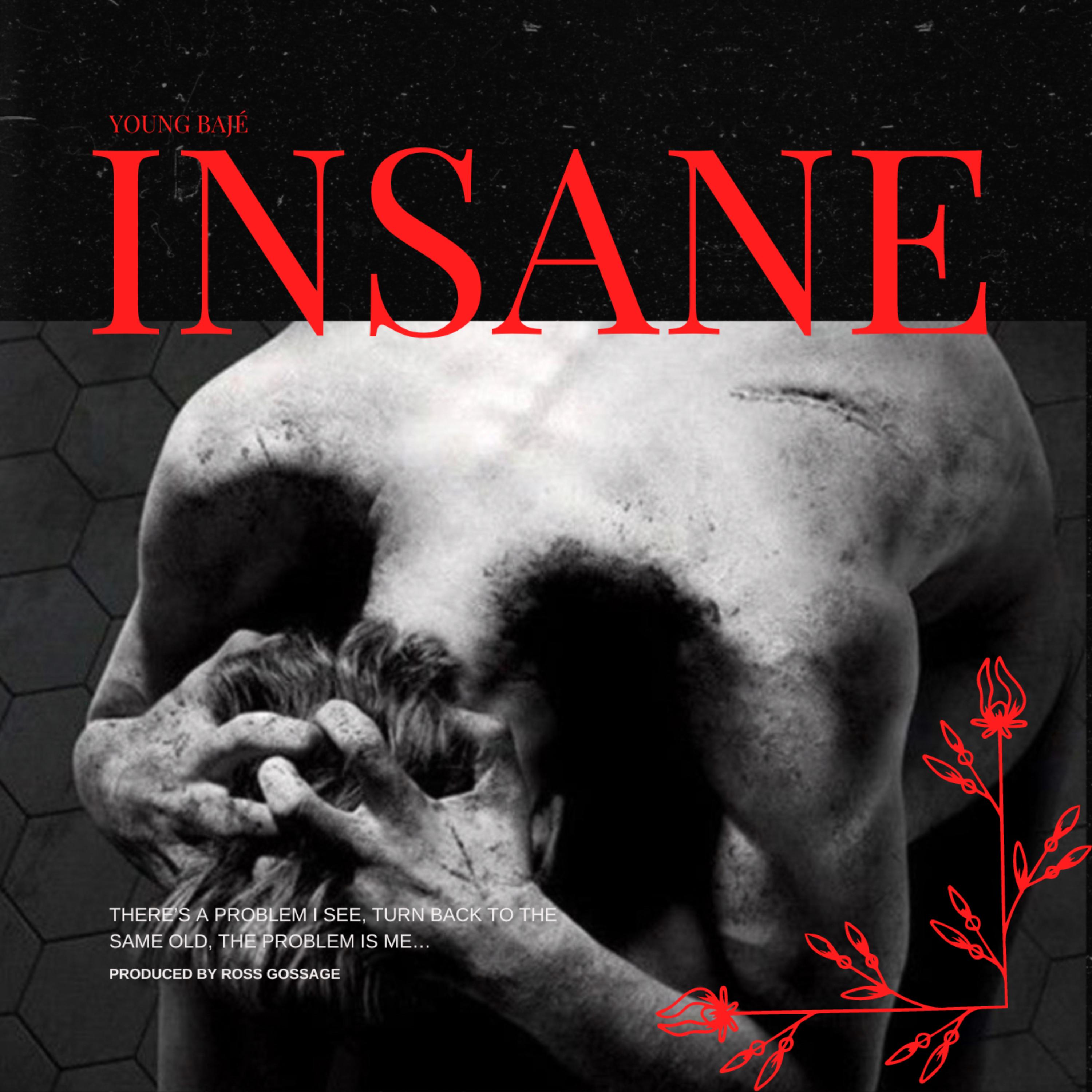 Insane artwork