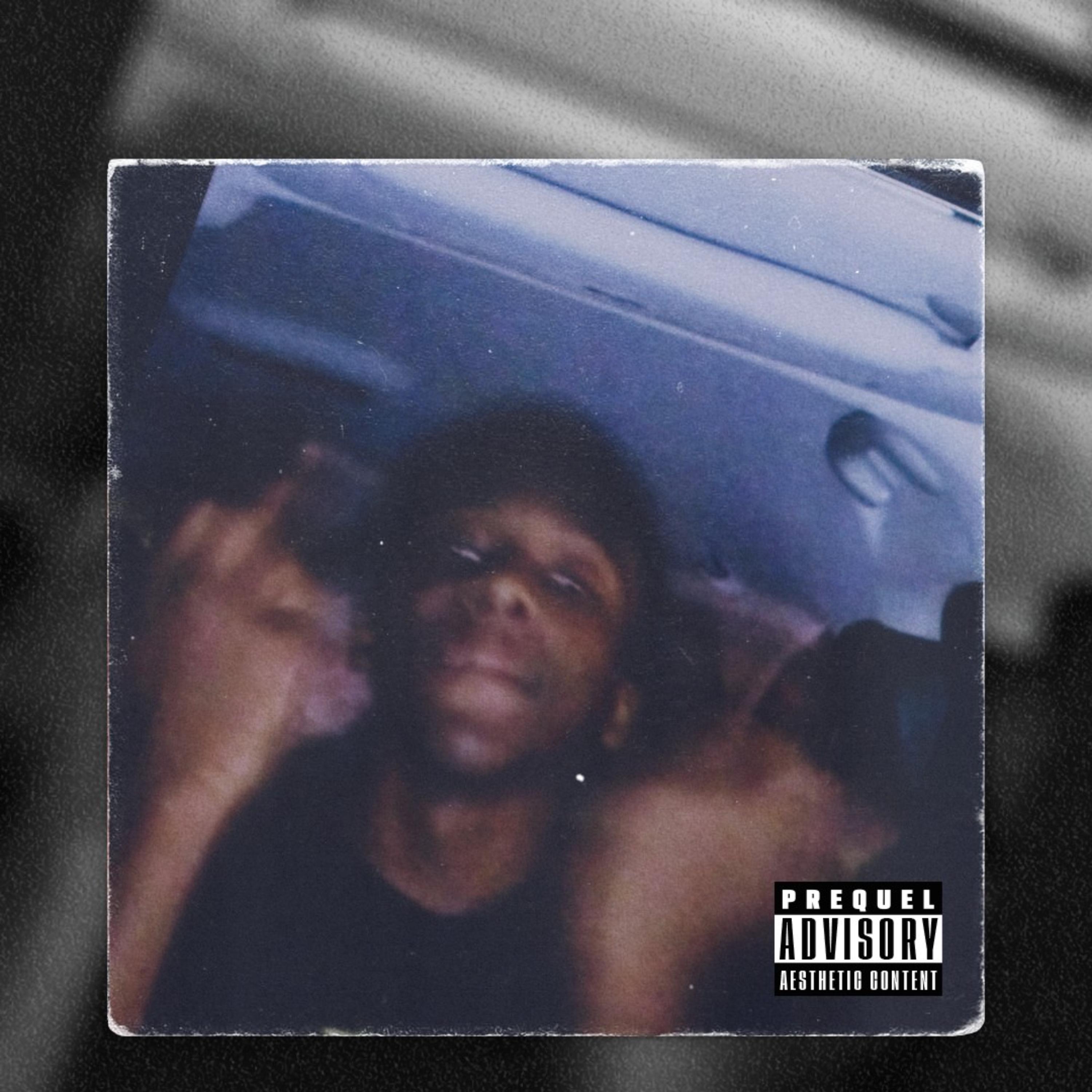 4L  artwork