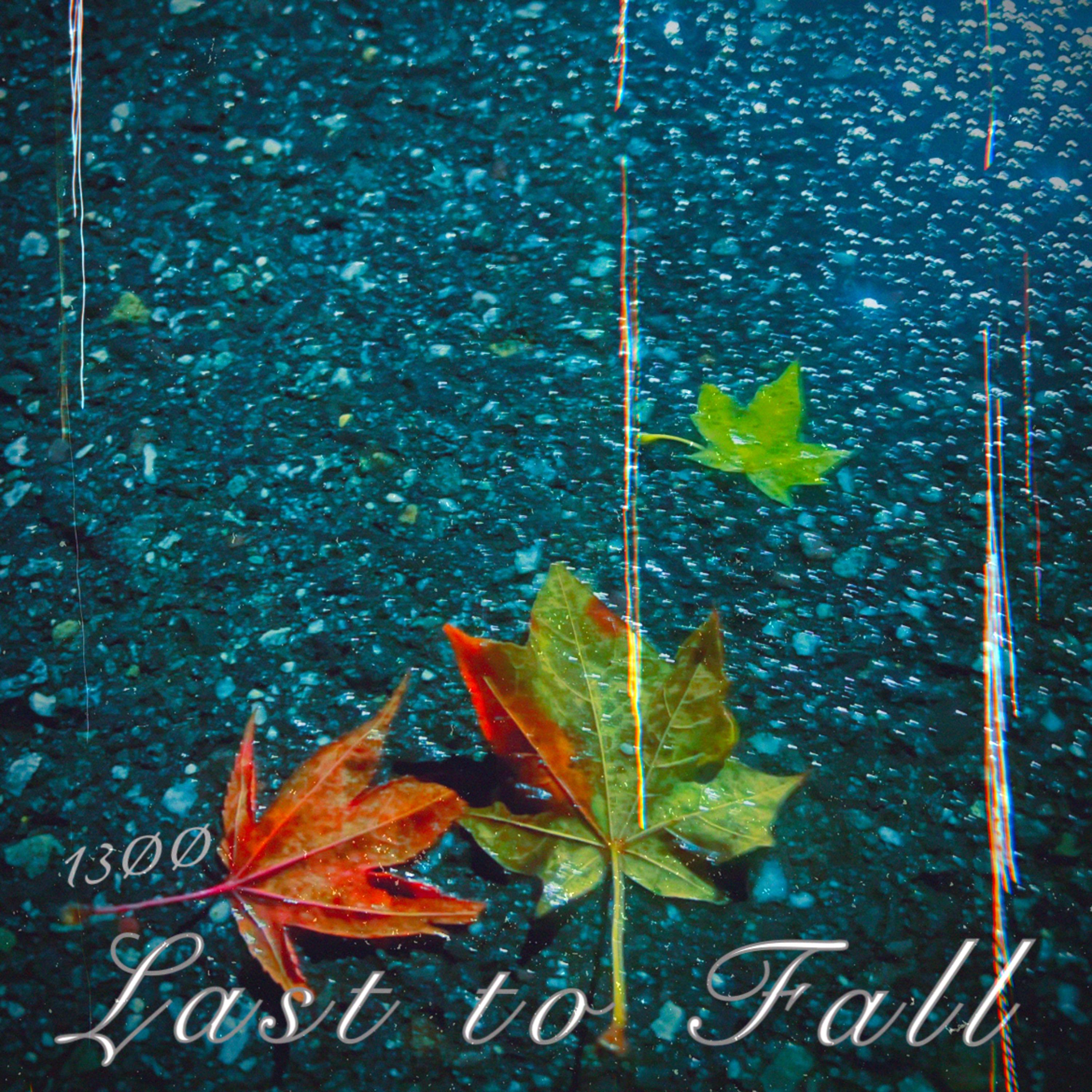 Last To Fall artwork