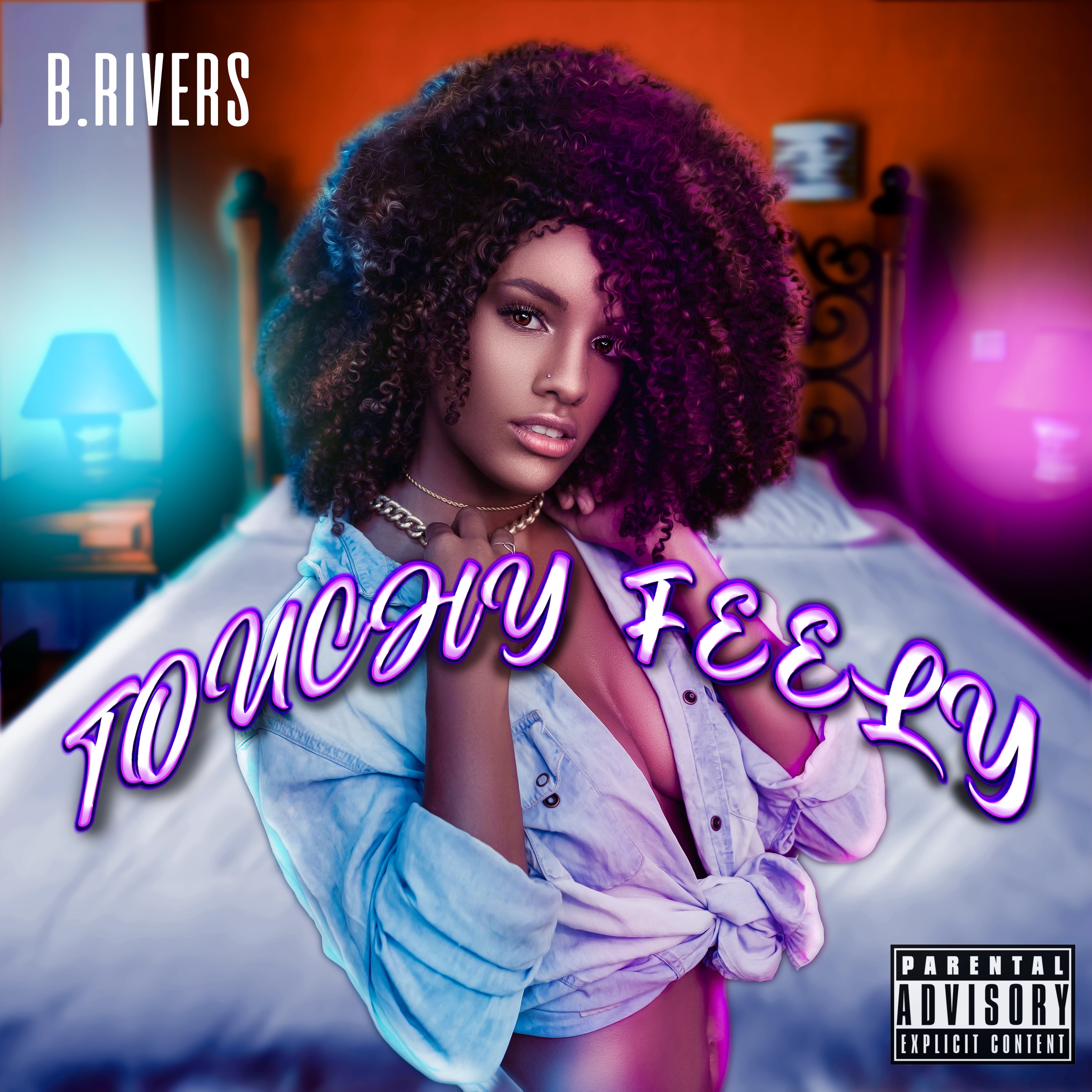 Touchy Feely by B.Rivers cover art