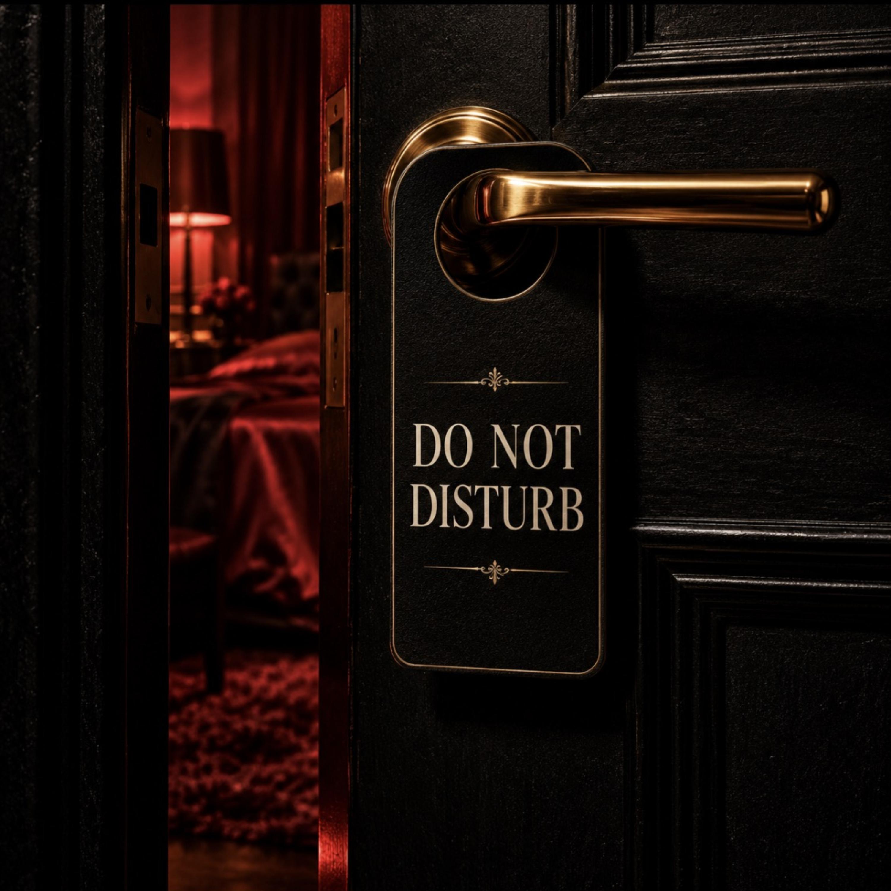 Do Not Disturb by 100Halsted cover art