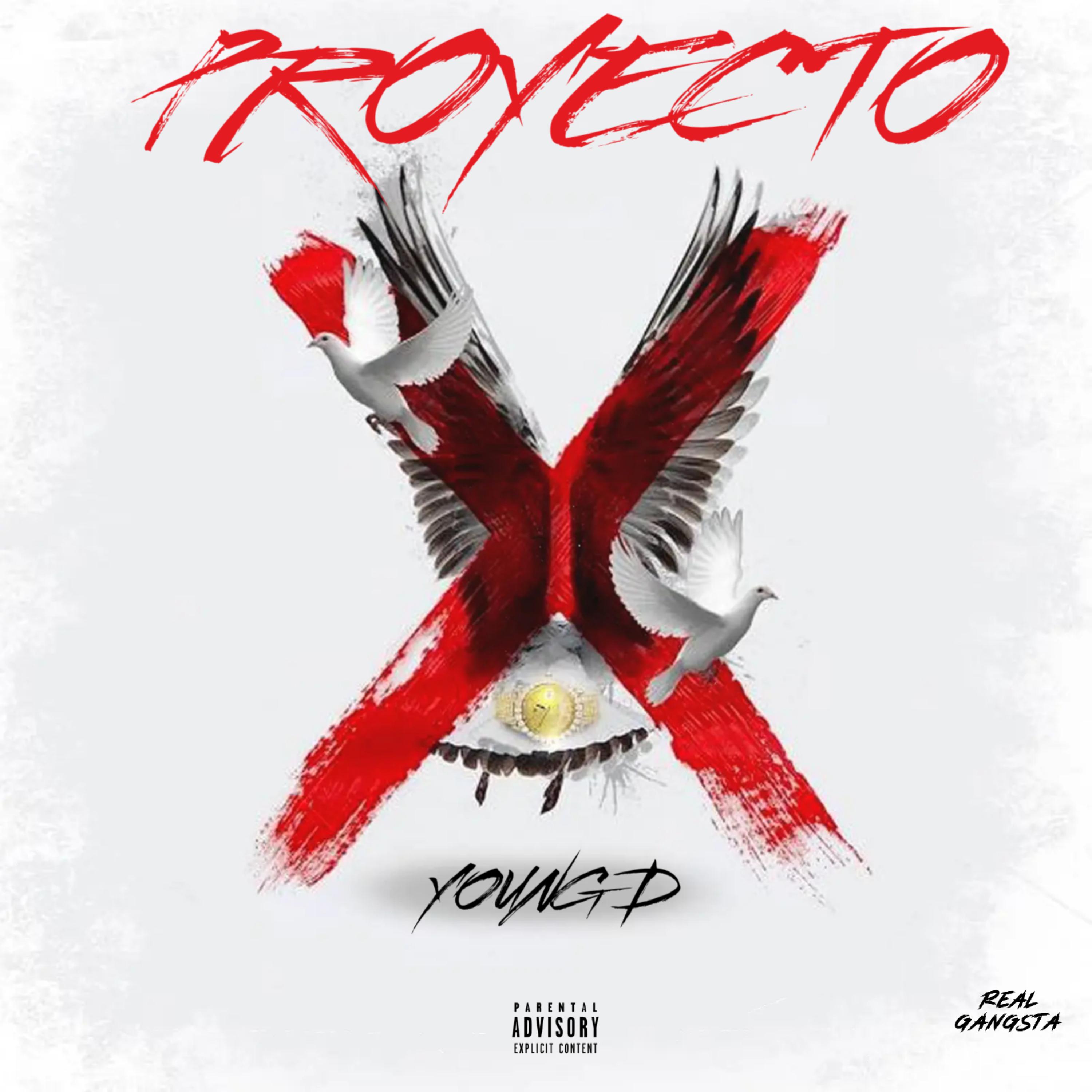 Proyecto X artwork