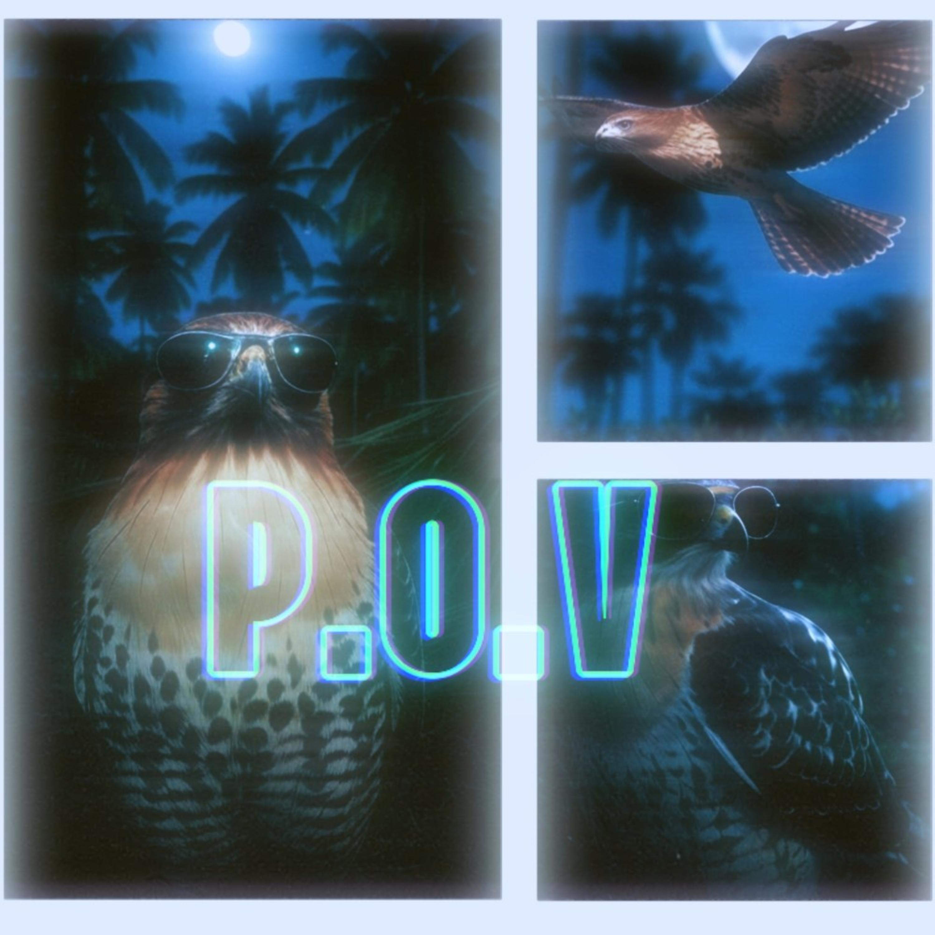 P.O.V artwork