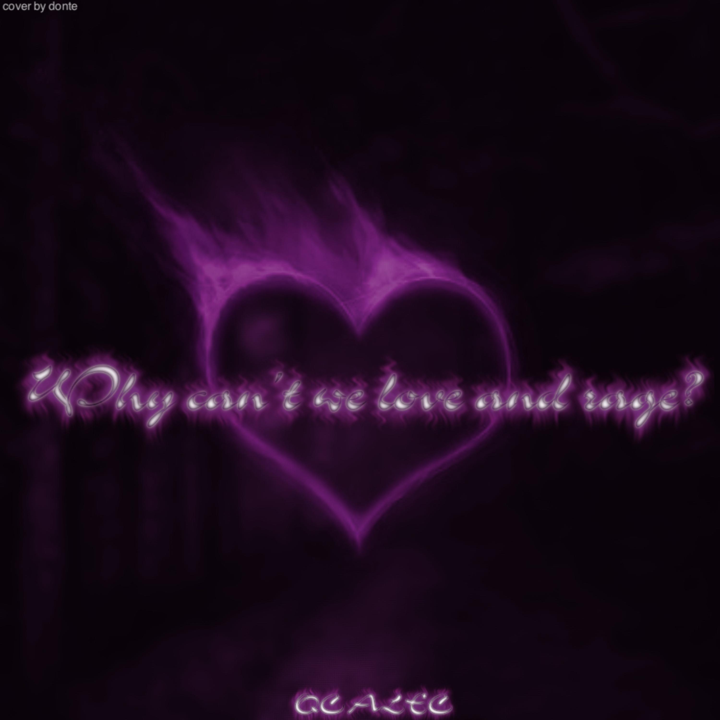 WHY CAN'T WE LOVE AND RAGE? artwork