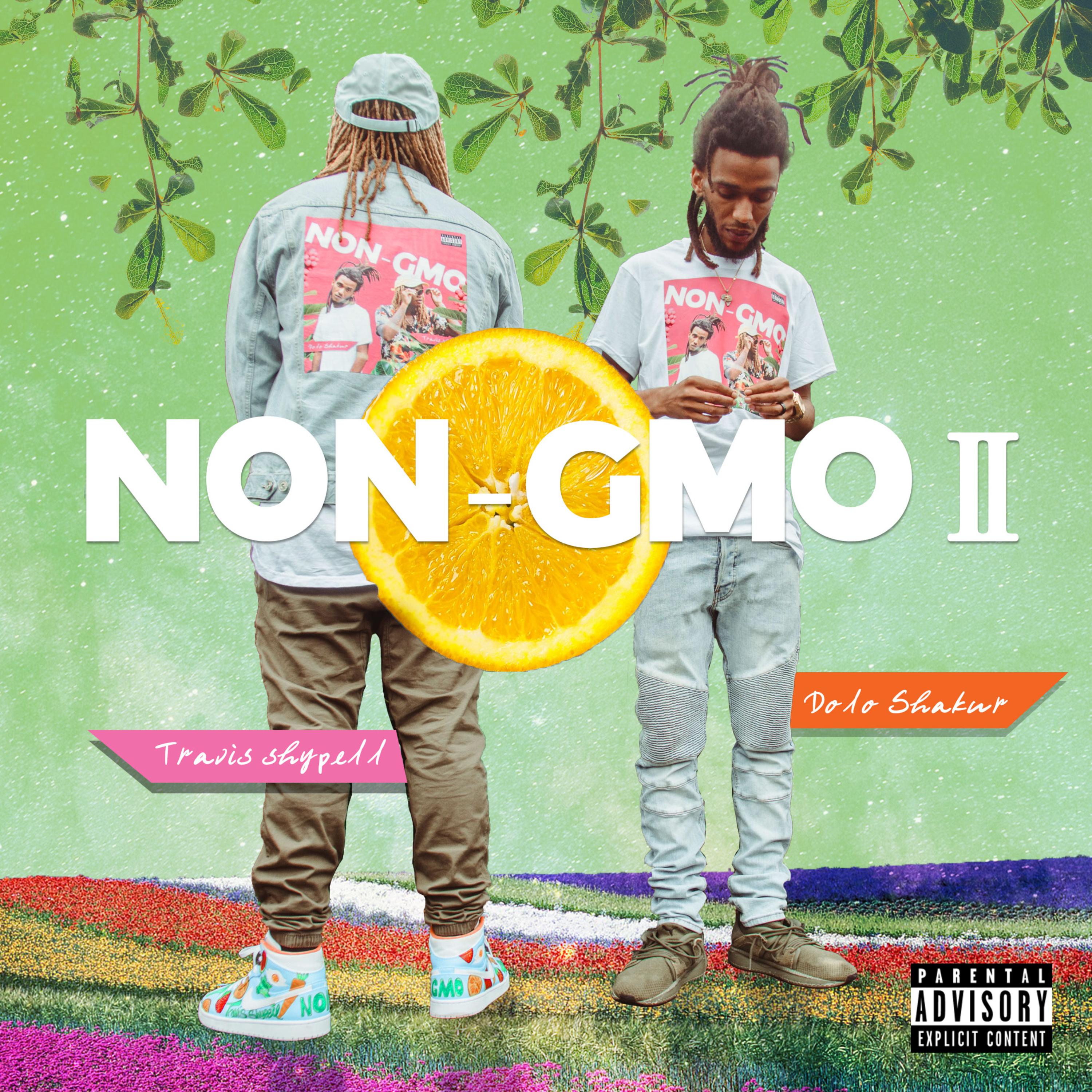 NON GMO II artwork