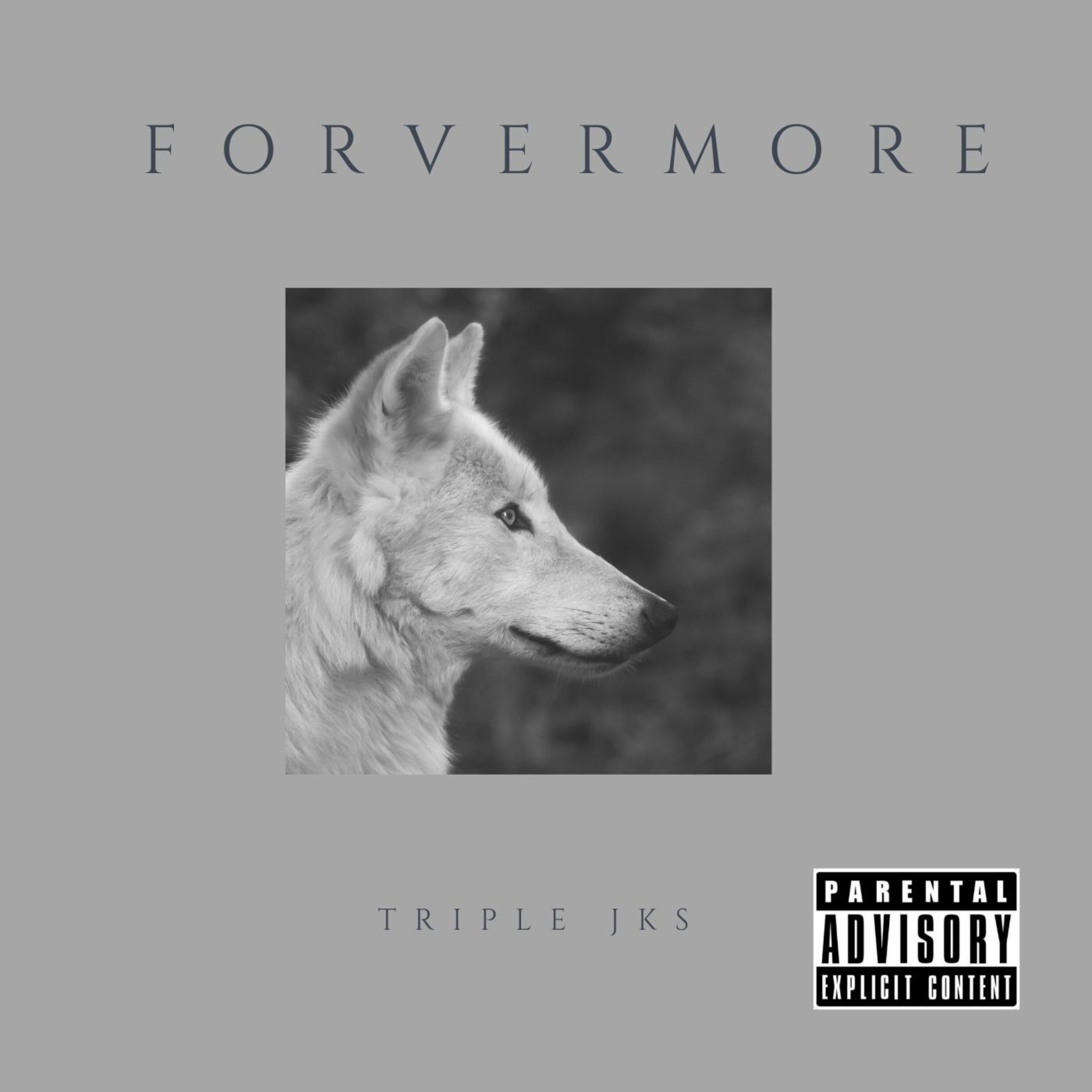 FOREVERMORE artwork