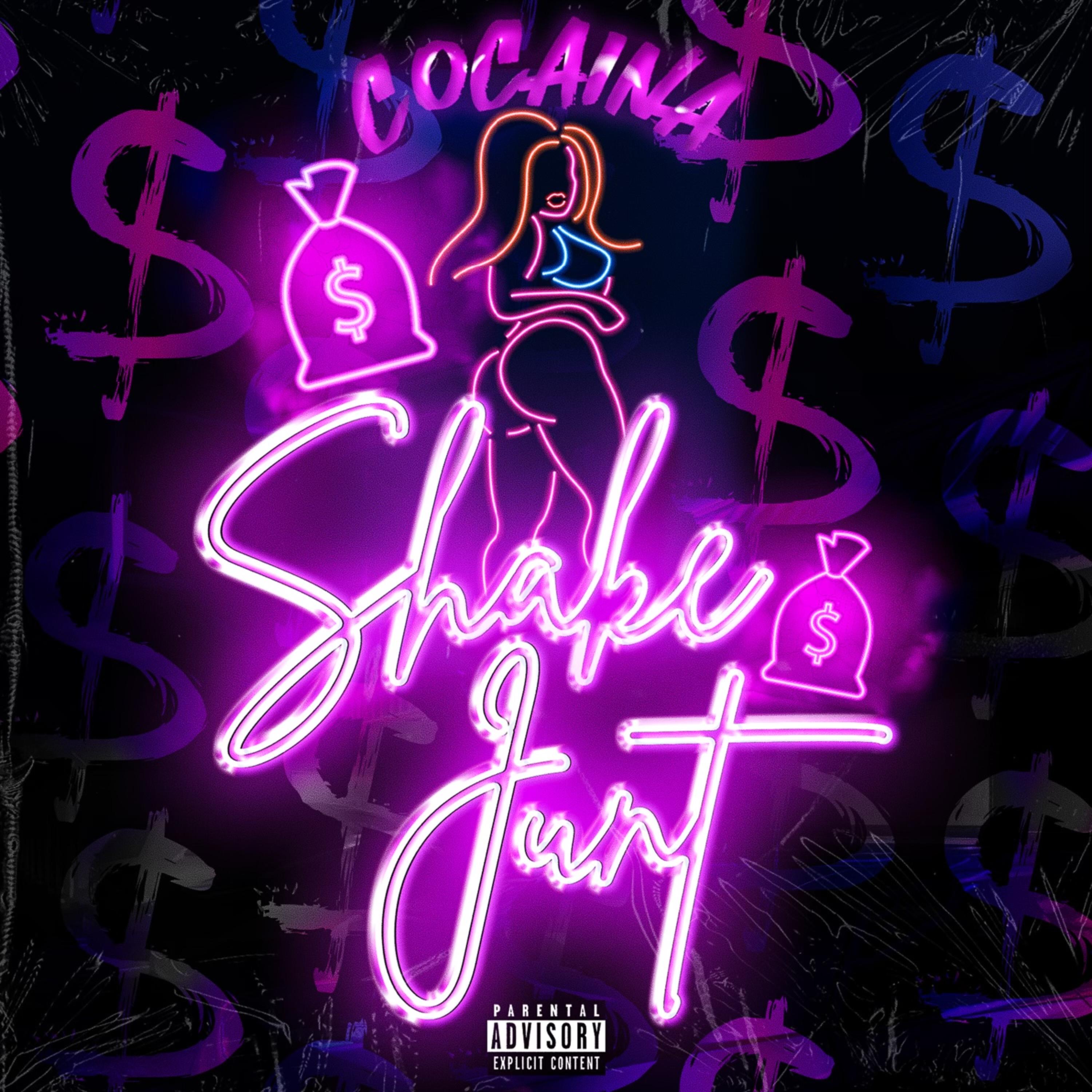 Shake Junt artwork