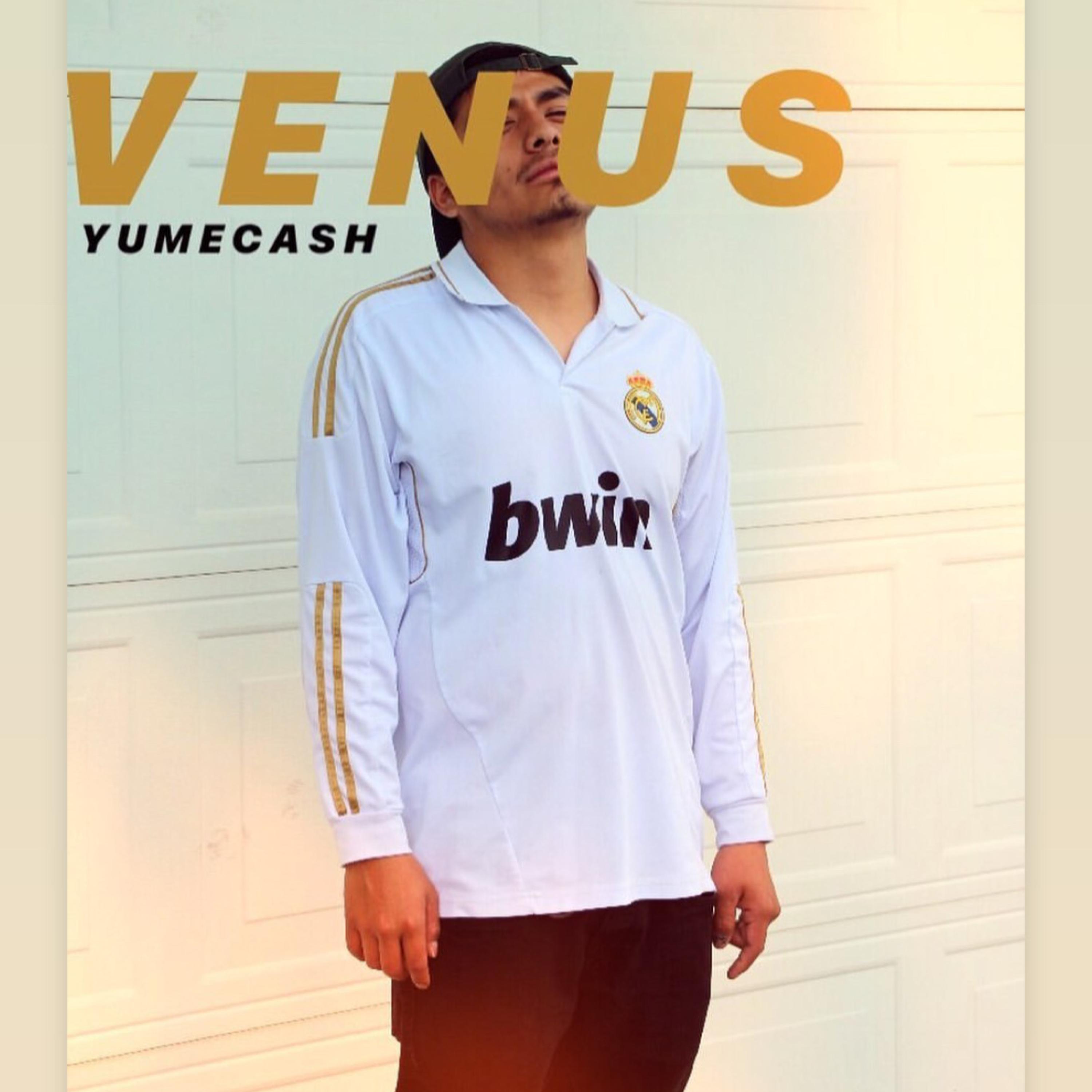 V E N U S artwork